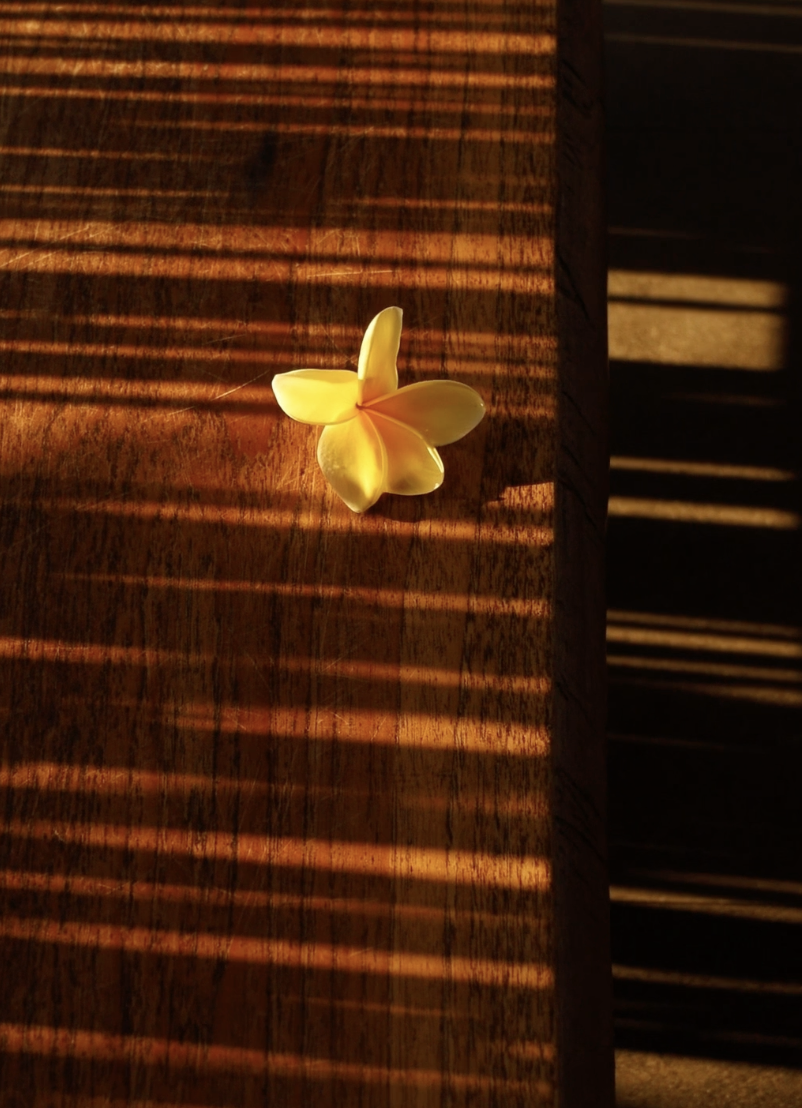 Screenshot 2026-02-01 at 11.44.03 AM.png