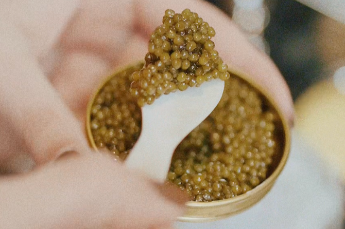 Screenshot 2026-01-21 at 3.51.45 PM.png