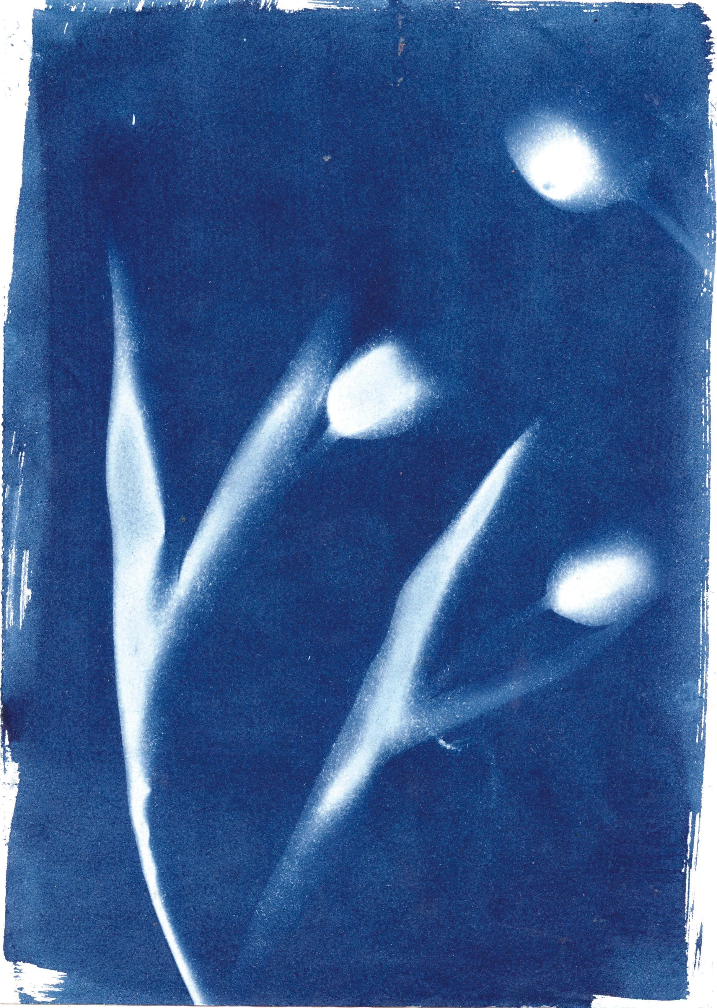 A blue-toned painting or print of tulip flowers with white highlights, featuring three prominent tulips with long stems and pointed petals.