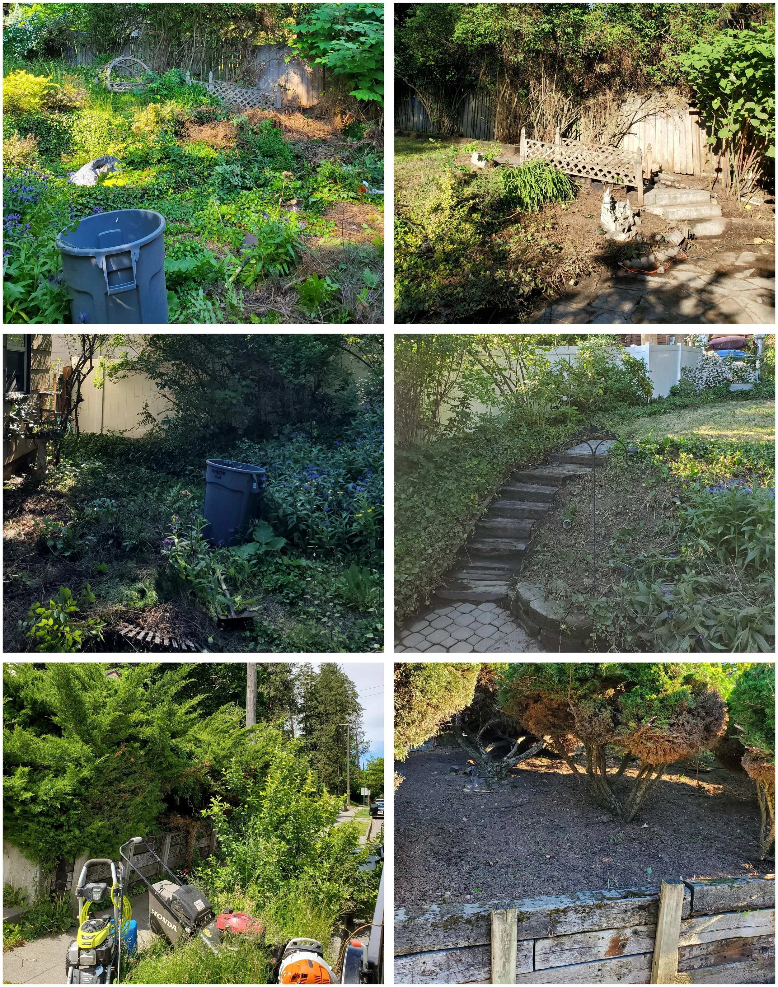 Before / After Clean Up