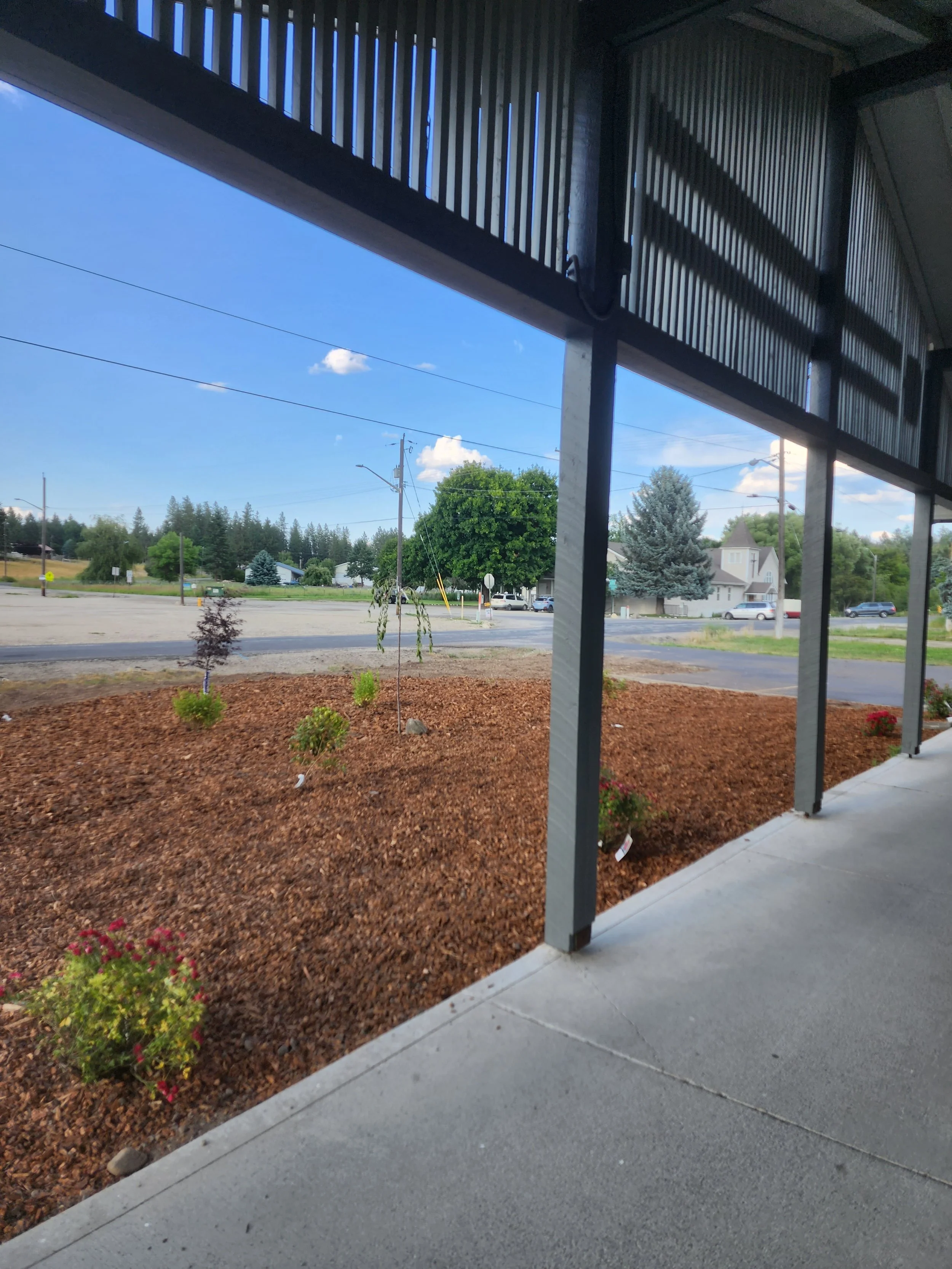 View from beneath a metal awning looking out onto a landscaped area with small trees and shrubs, and a street with houses and cars in the distance, under a blue sky with a few clouds.