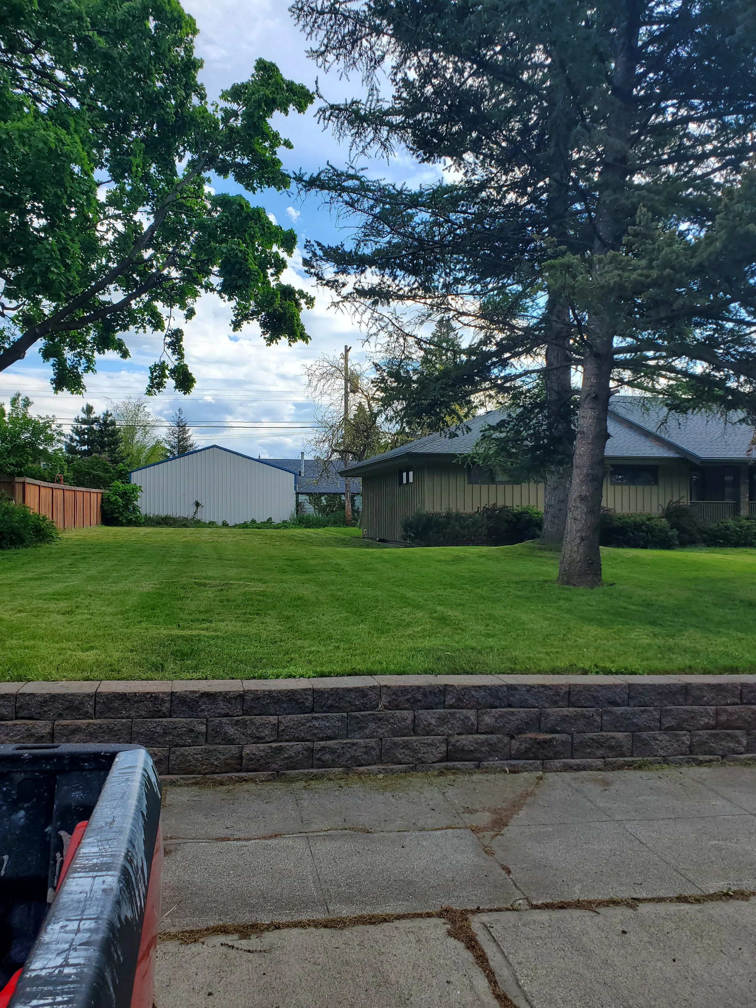 A backyard with a well-maintained grassy lawn, two large trees, a house with a gray roof, and a white shed or garage in the background. A concrete sidewalk and a brick retaining wall are in the foreground.