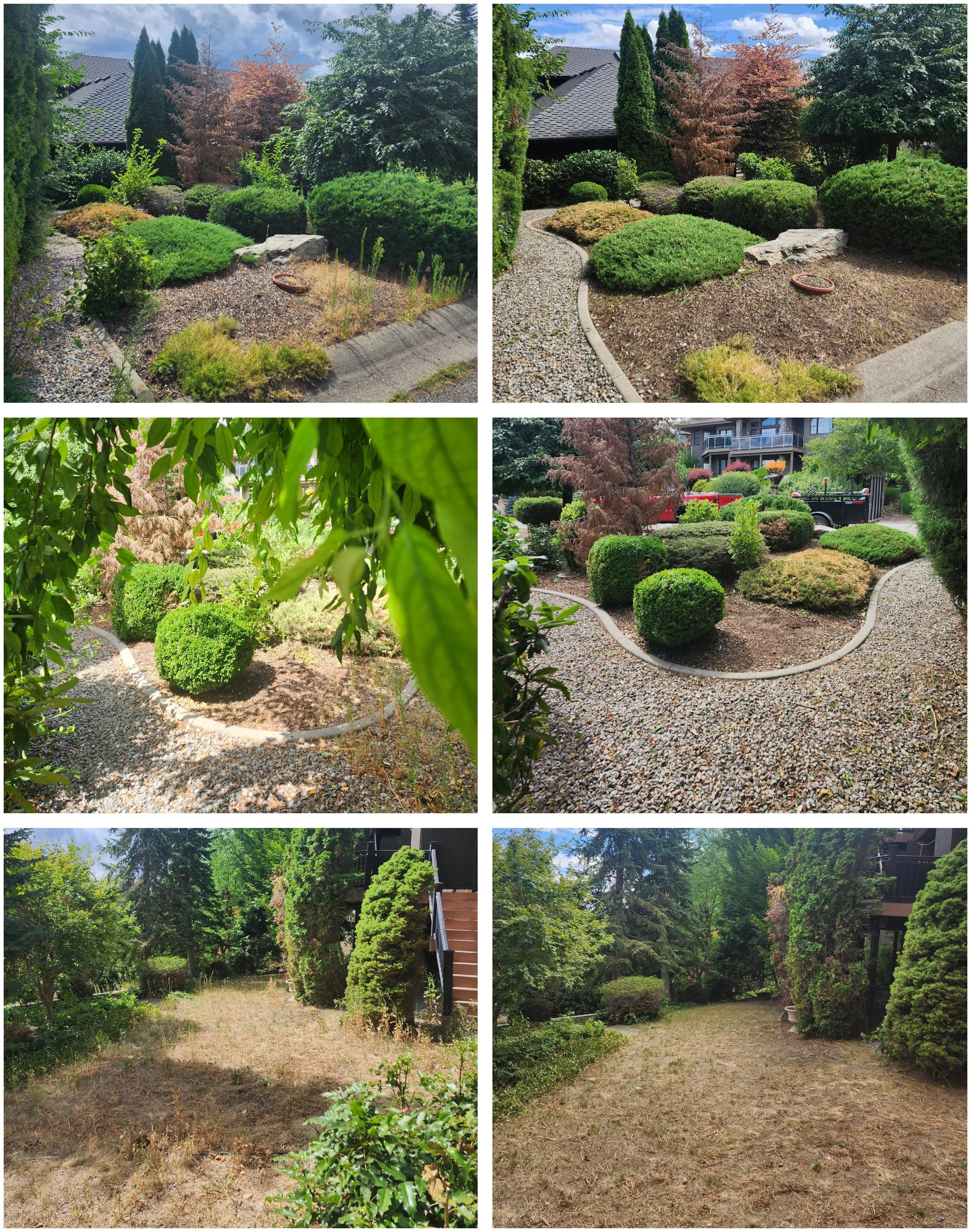 Before / After Clean Up