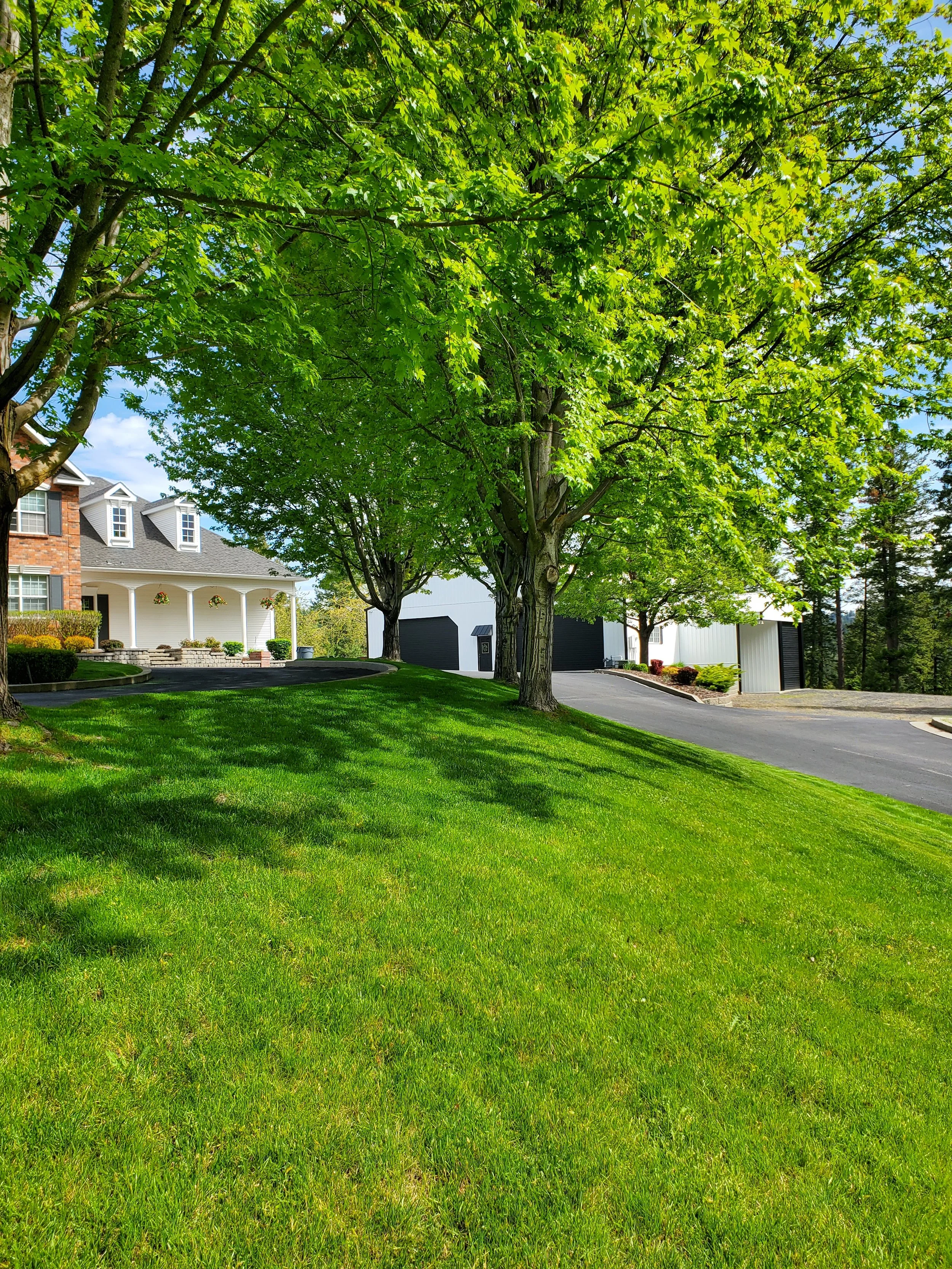 A suburban front yard with lush green grass, large leafy trees, and a house with white columns and hanging flower baskets.
