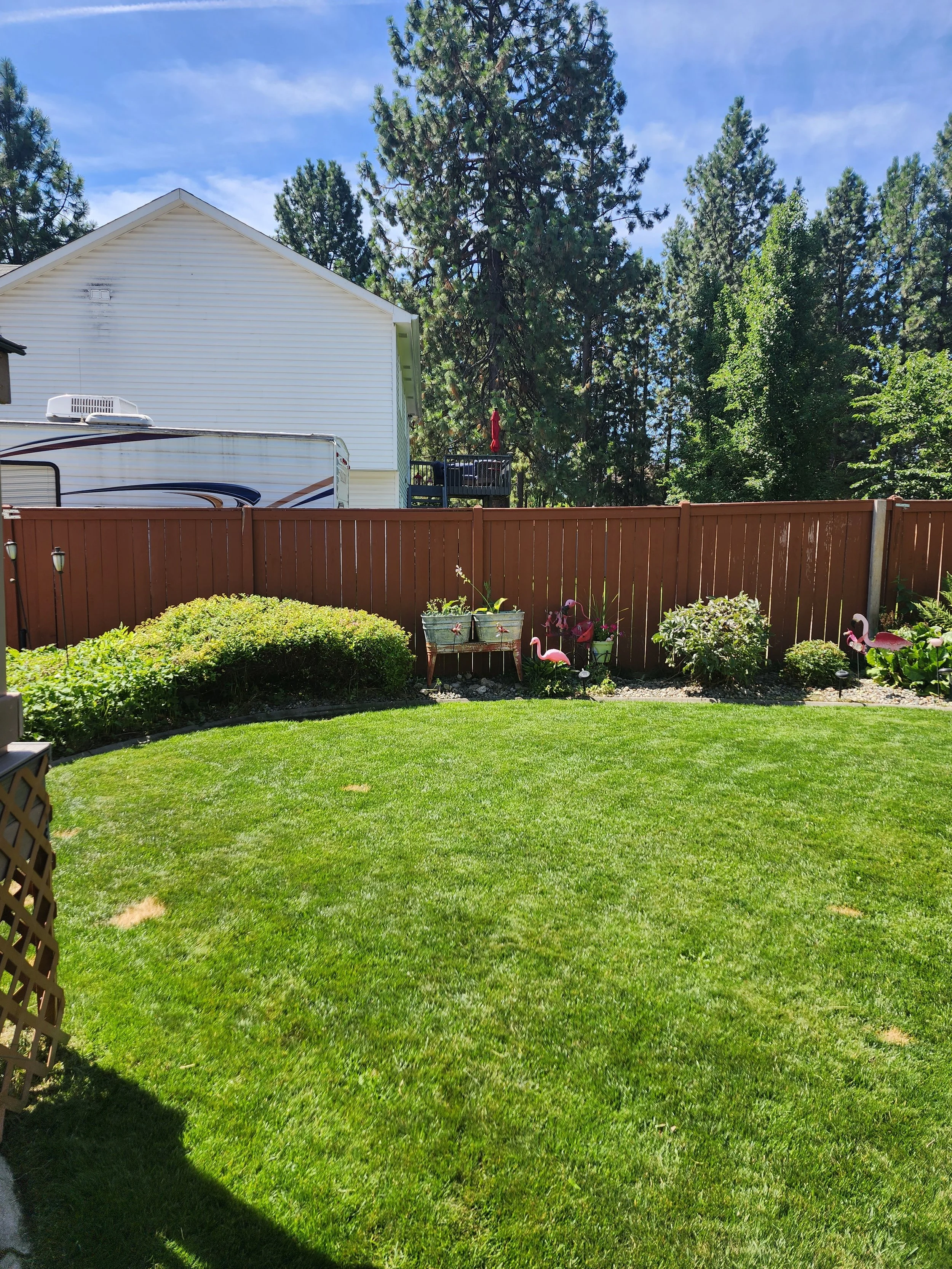 A well-maintained backyard with a lush green lawn, a brown wooden fence, and garden decorations including pink flamingo lawn ornaments, and a small garden bed with shrubs and flowers. In the background, there is a white house and tall evergreen trees