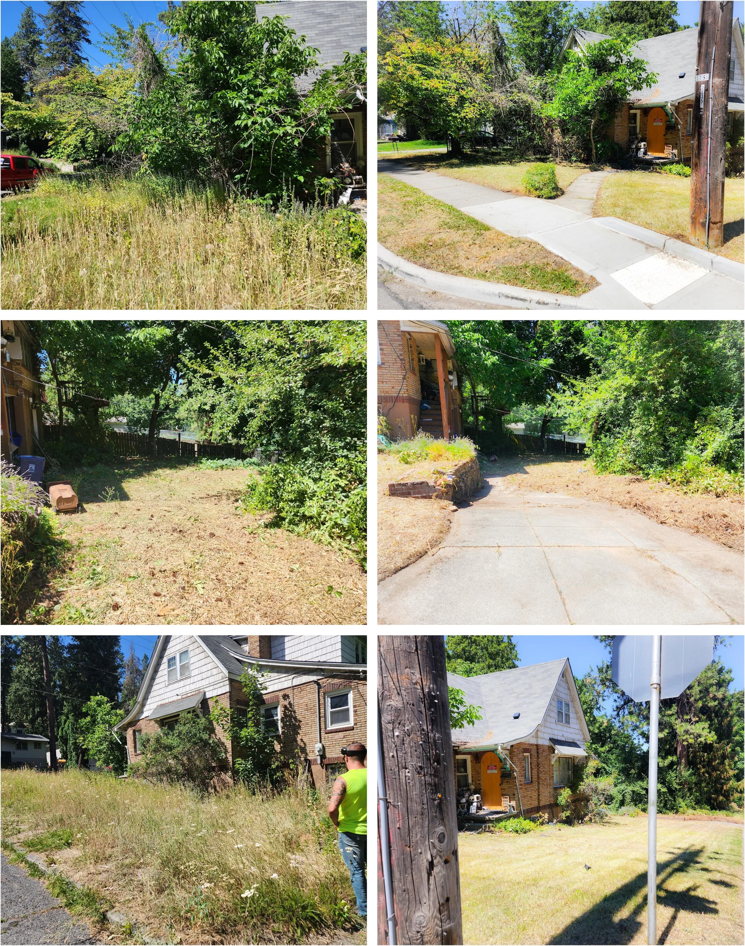 Before / After Clean up