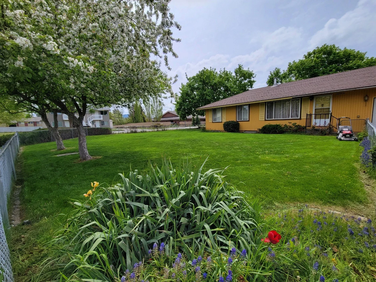 A backyard with a green lawn, flowering plants, mature trees, a yellow house with a porch, and a small lawnmower on the side.