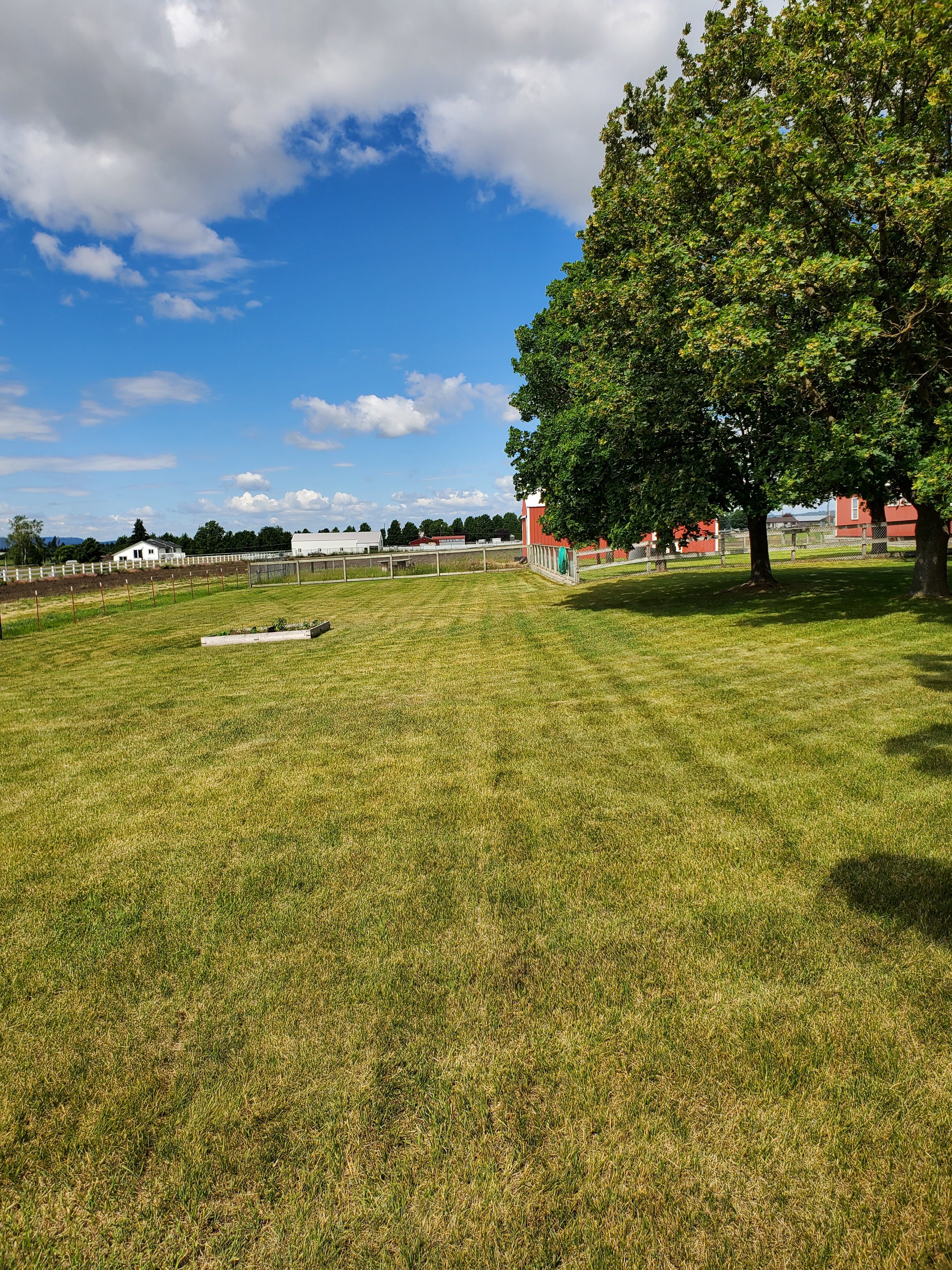A green field with two trees on the right, a small garden bed on the left, and a white fence in the background under a partly cloudy sky.