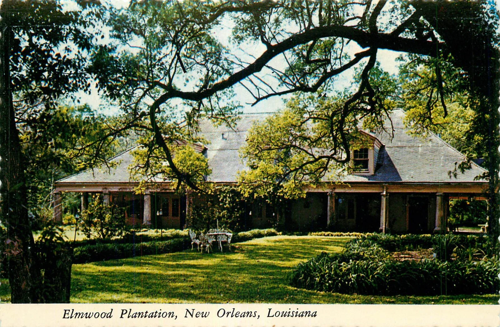 Elmwood Oaks Post Card Photo.webp