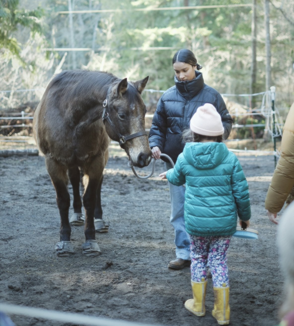 Trial Class (Little Hooves) Friday 20th of February 10:30 AM
