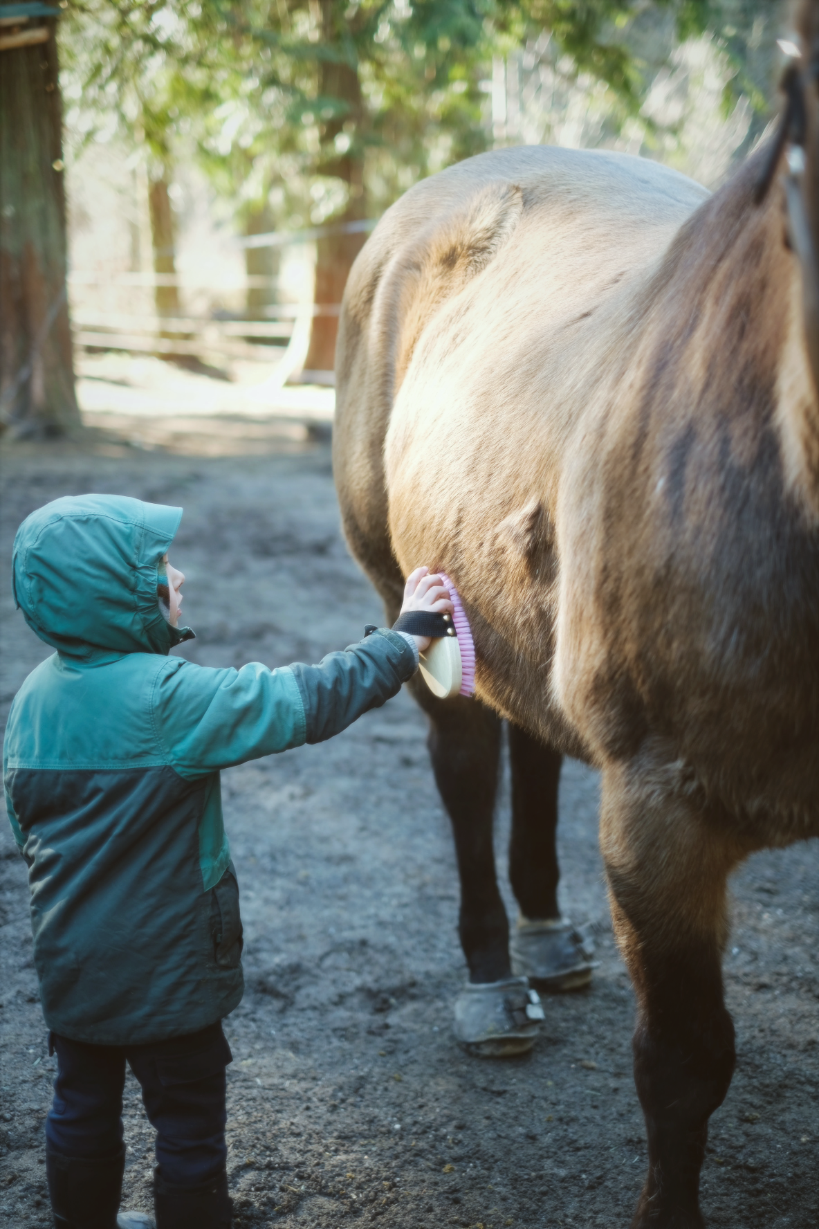 Little Hooves March Sunday Class(10:30 AM)
