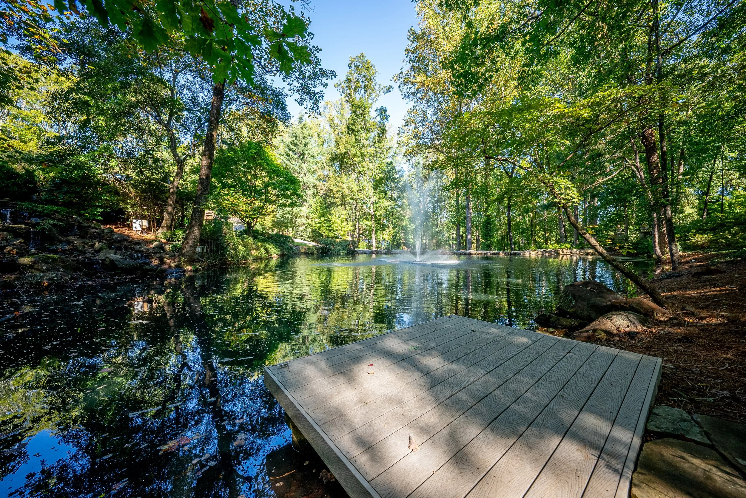 Pond3.jpg