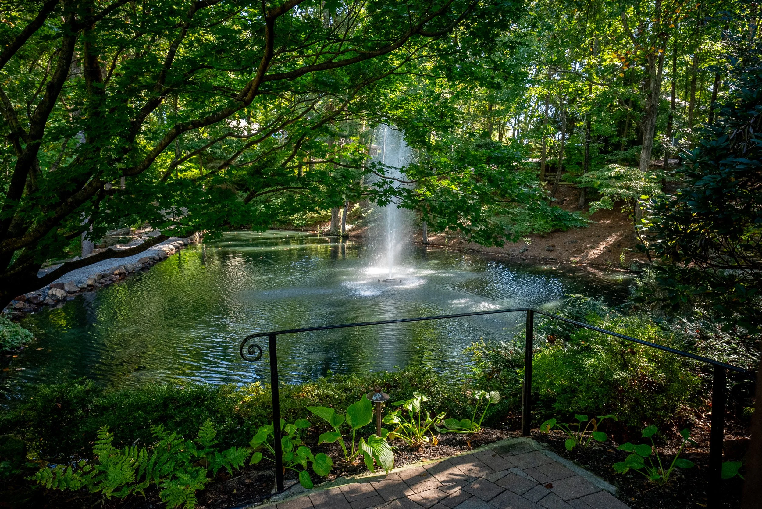 A peaceful pond with a fountain in the center, surrounded by lush green trees and plants, with sunlight filtering through the leaves.