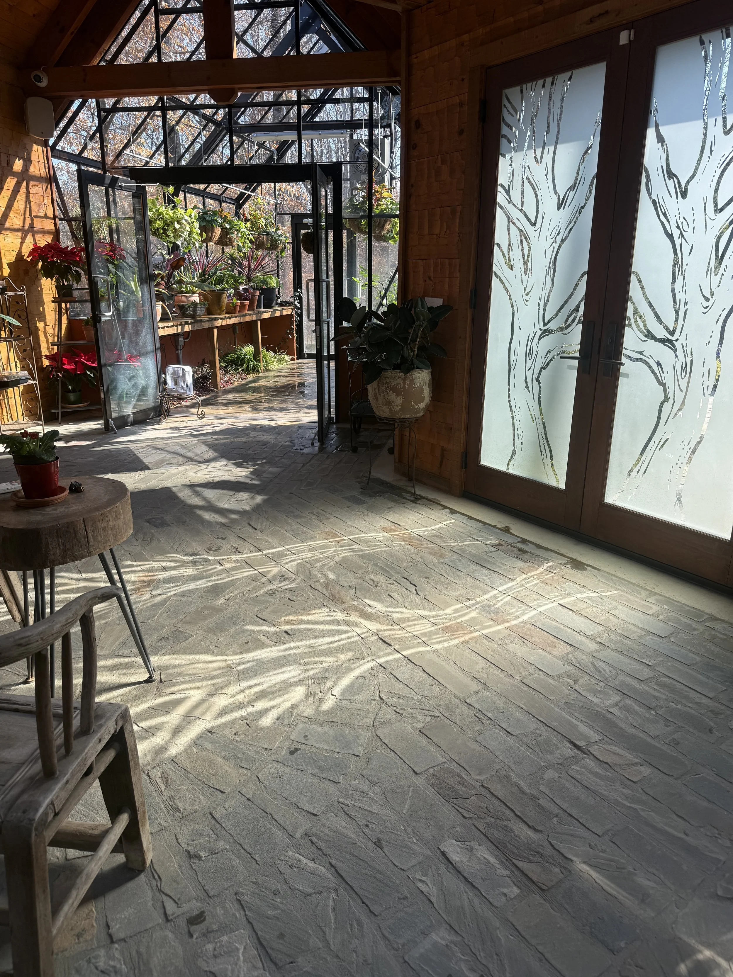 Sunlit indoor greenhouse with potted plants, glass walls, and a stone floor. There's a glass door with tree illustrations on it, and the greenhouse is filled with various plants and hanging baskets.