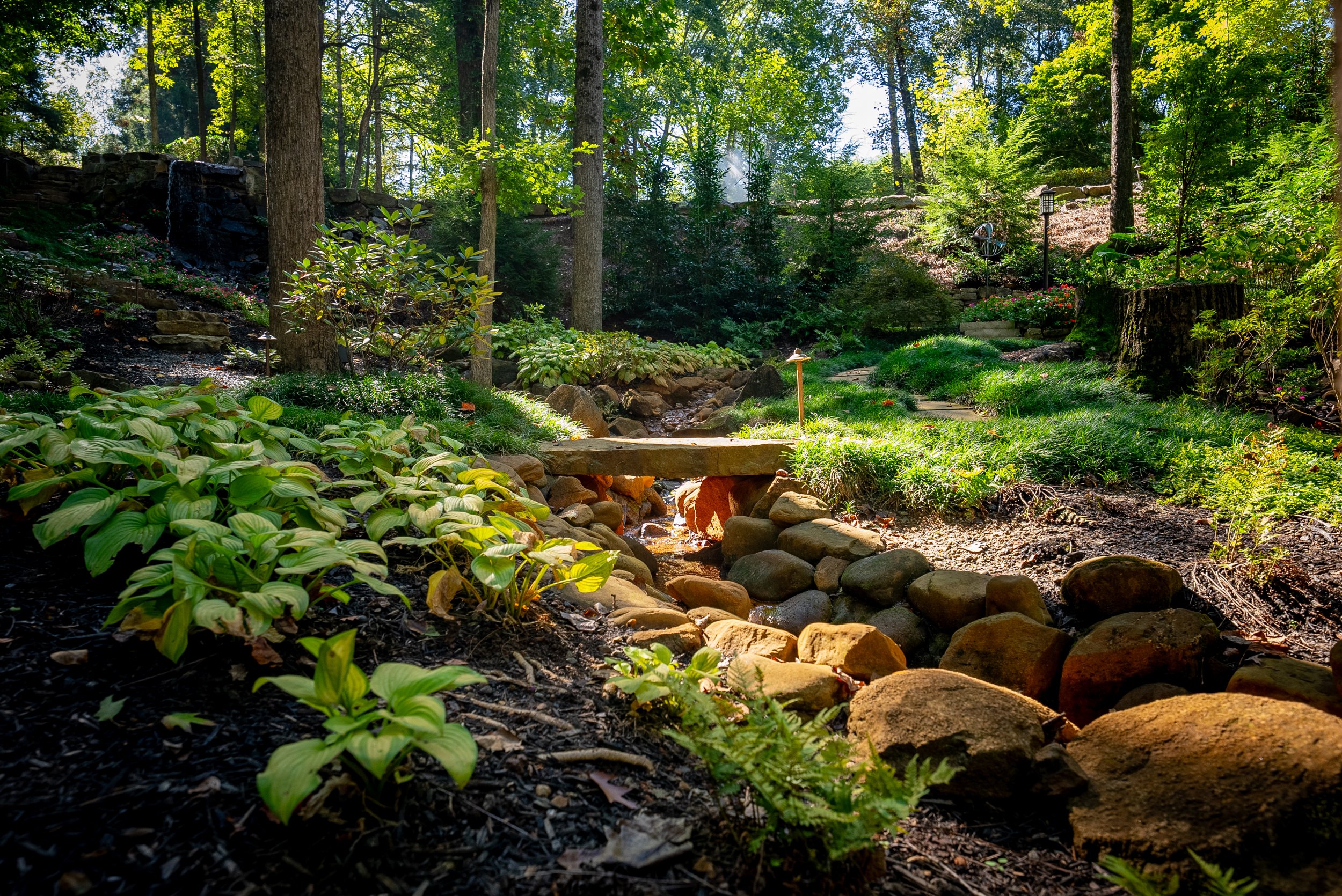 A lush garden with tall trees, green plants, rocks, and a small stream, illuminated by sunlight.