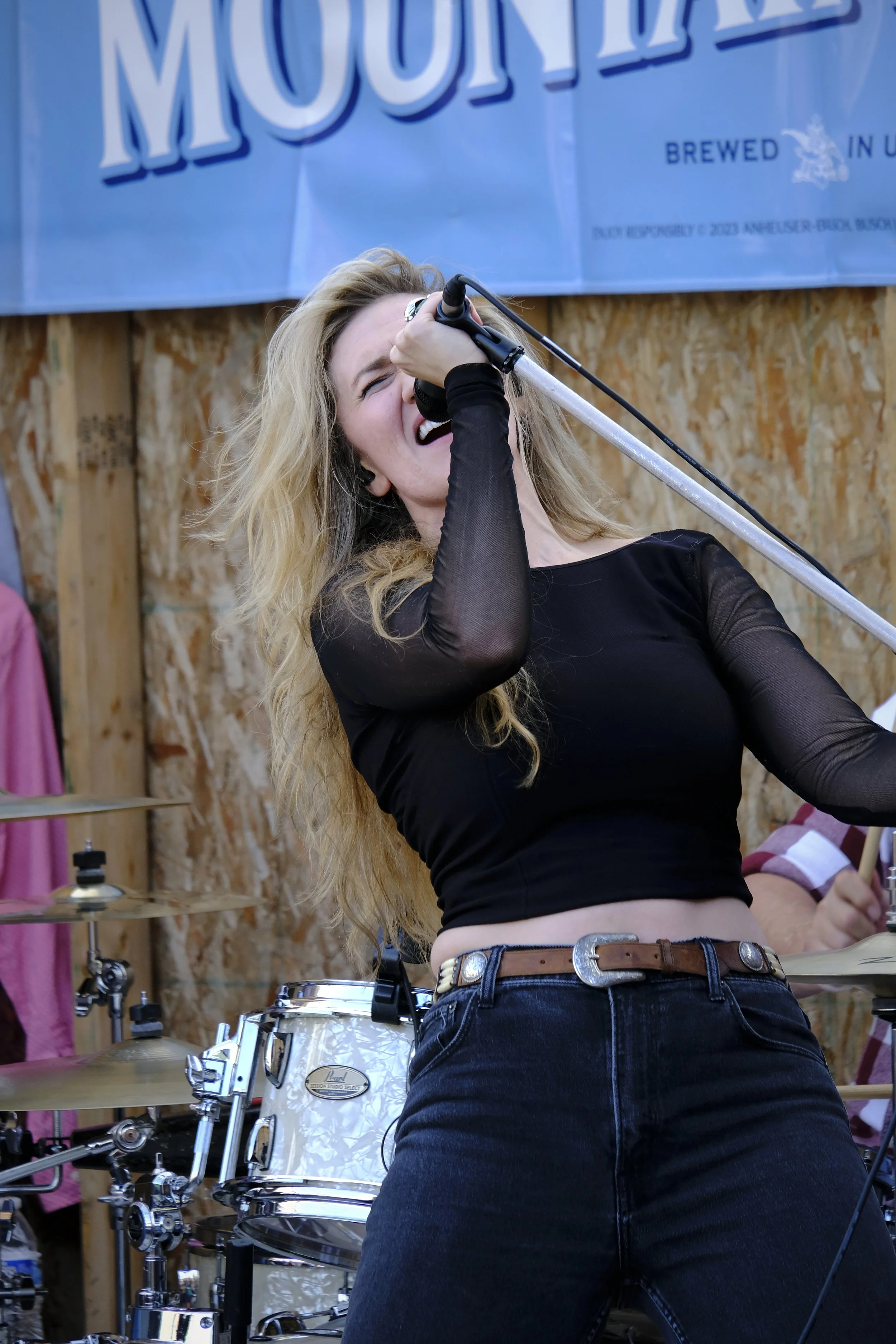 Bacchus Lotus @ Sister Bay Concert Series
