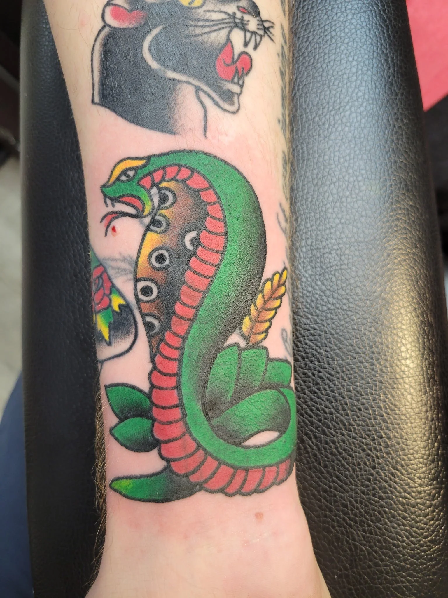 6062690364313925673 2.JPG