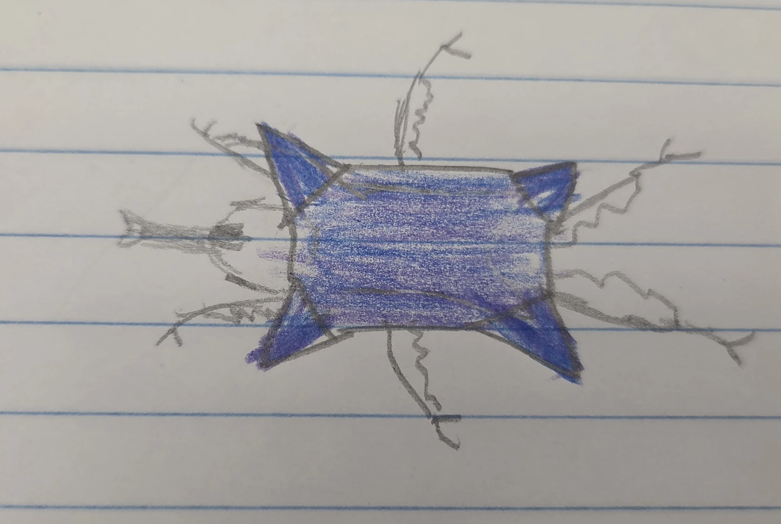 Michio | Age: 10 | "Imaginary Beetle"