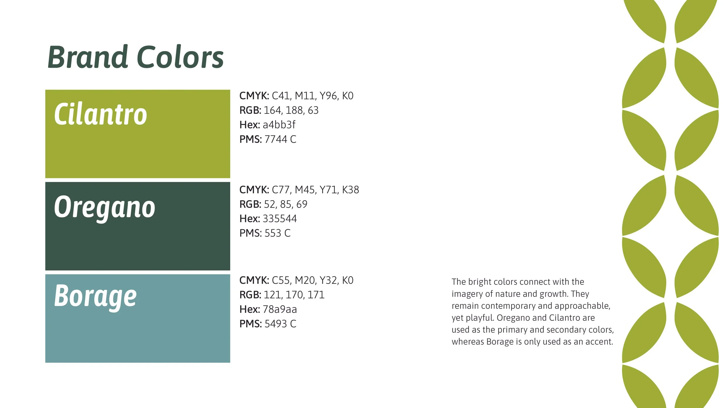 Cuisini Brand Colors