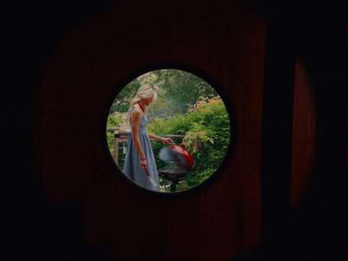 Susan Shaw: All-American Summer