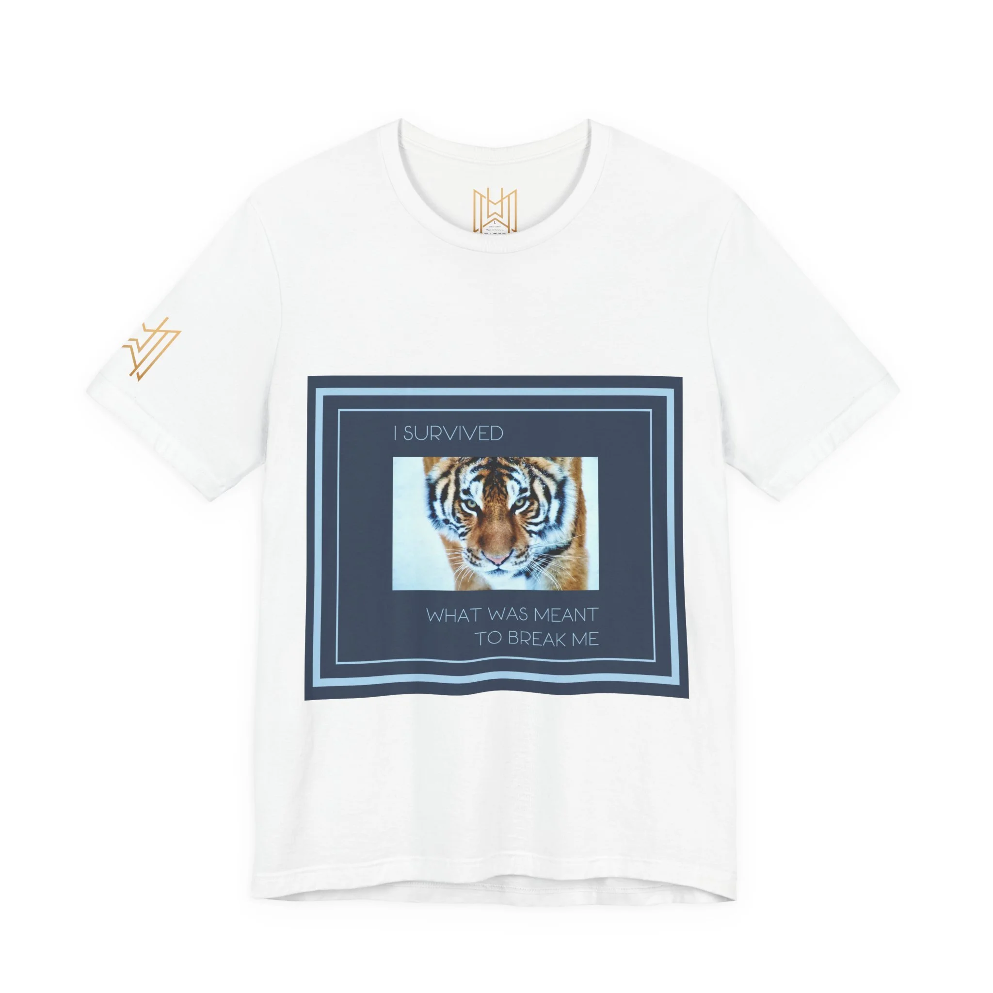 d3d11a2da9db0f2ae91889d1ac9fe2b3