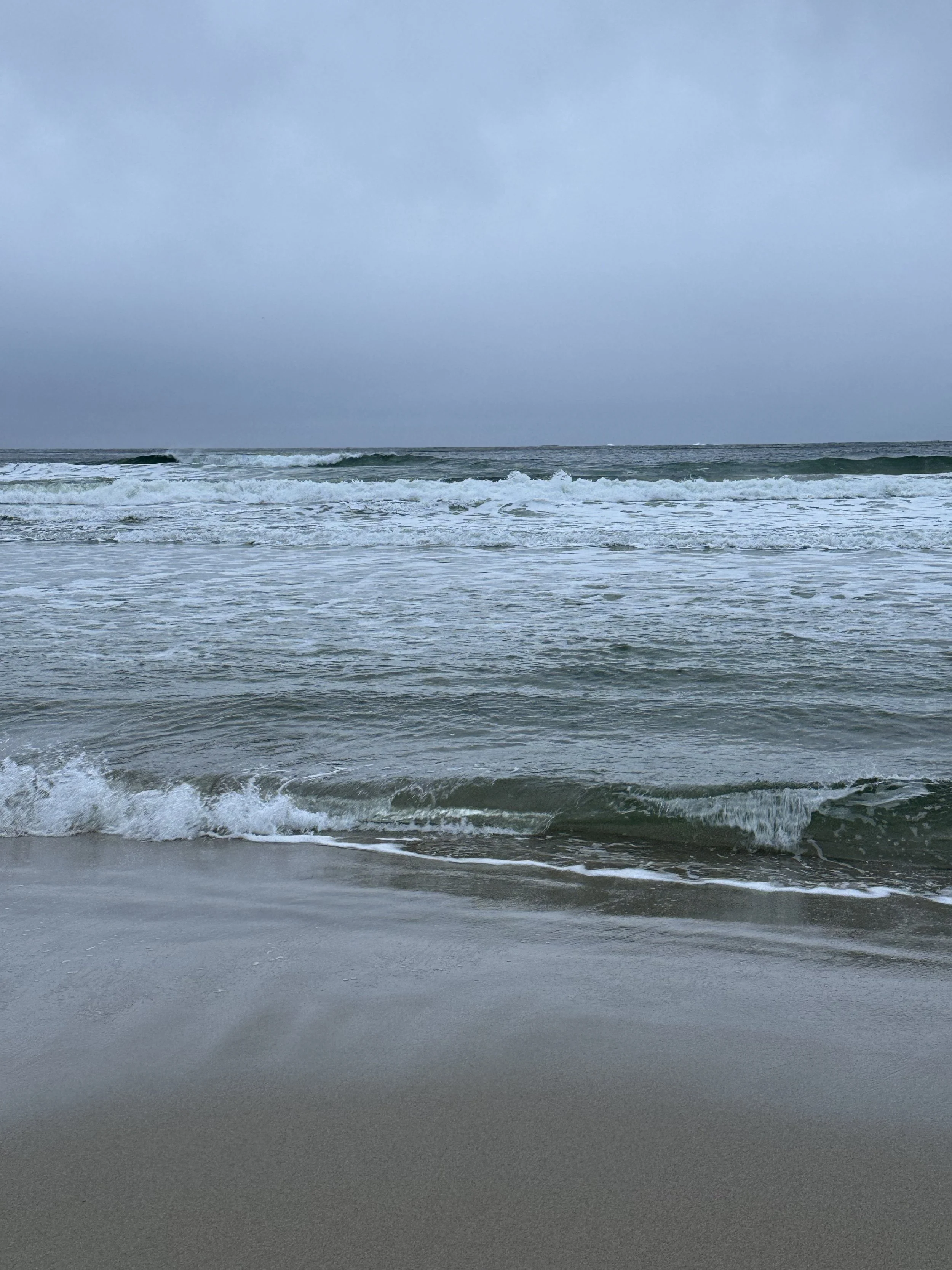 Photo 12-11-2024, 15 51 32.jpg