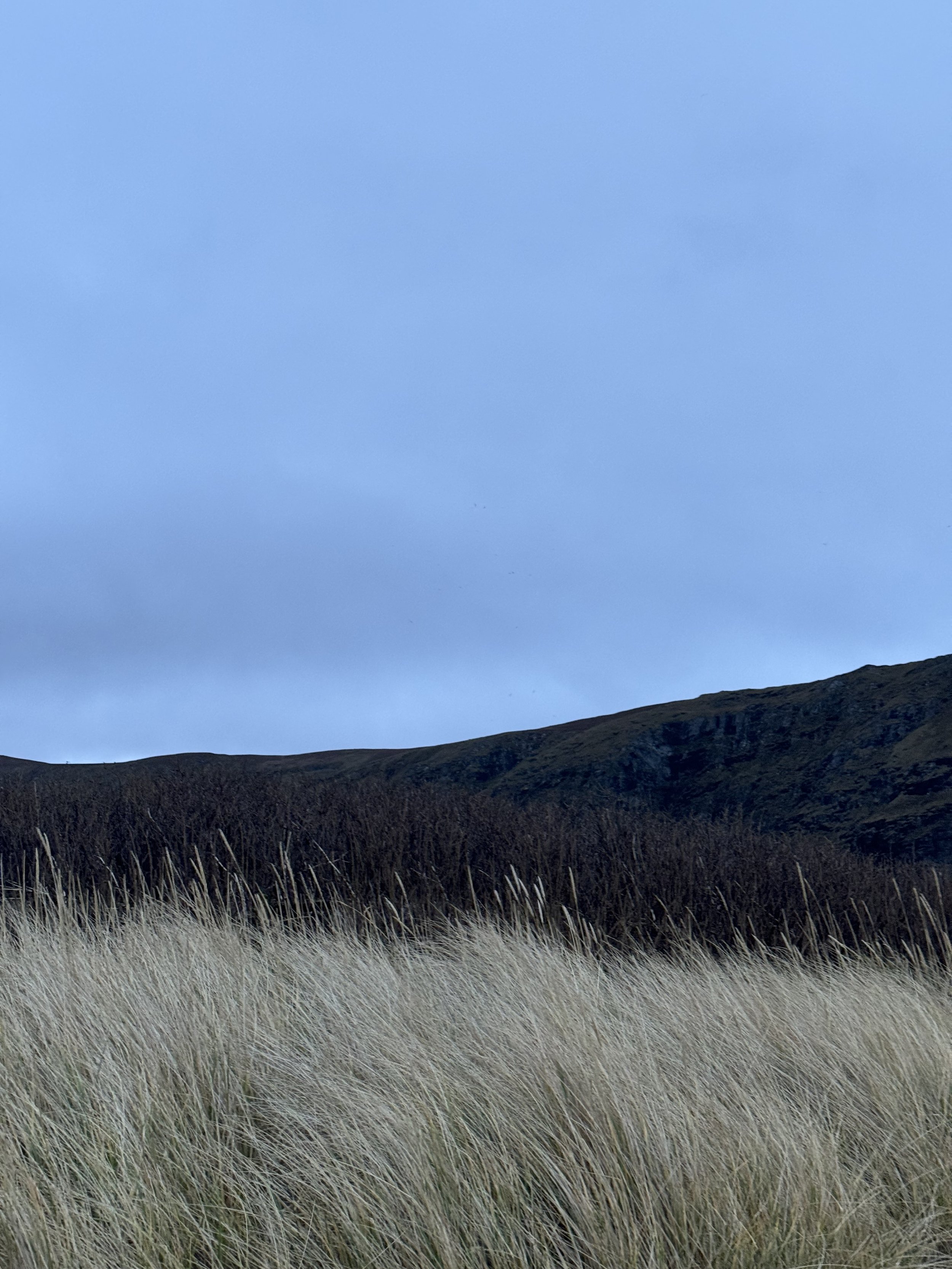 Photo 12-11-2024, 15 58 06.jpg