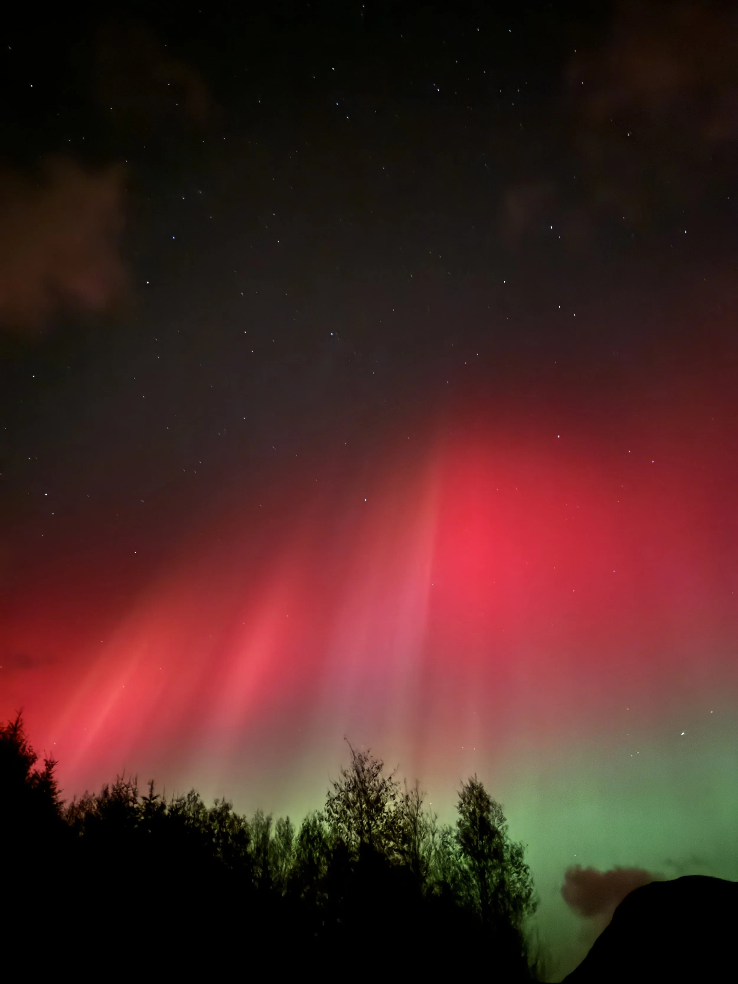 Photo 10-10-2024, 22 58 00.jpg