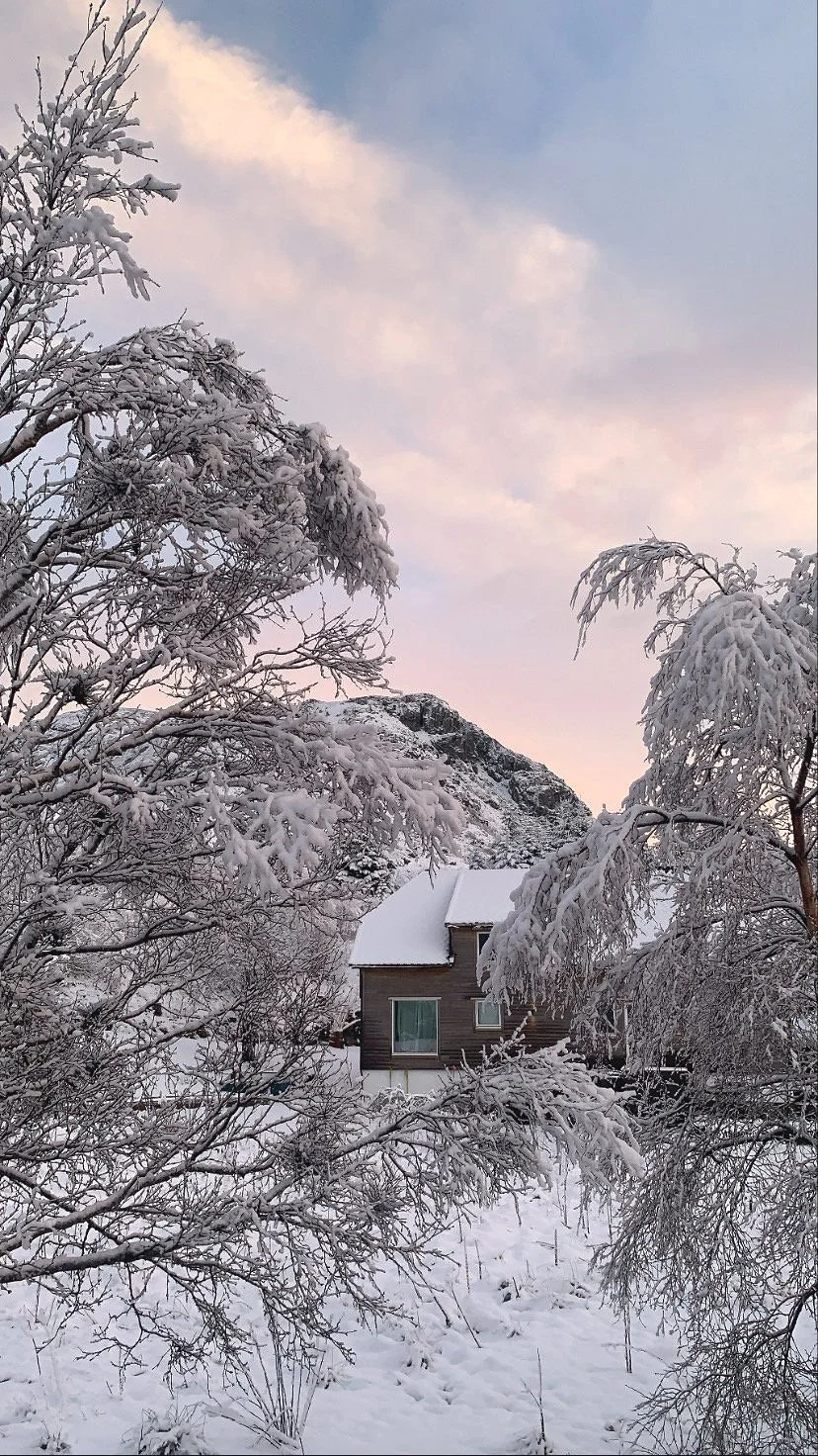 OPEN CALL, Artist in Residence