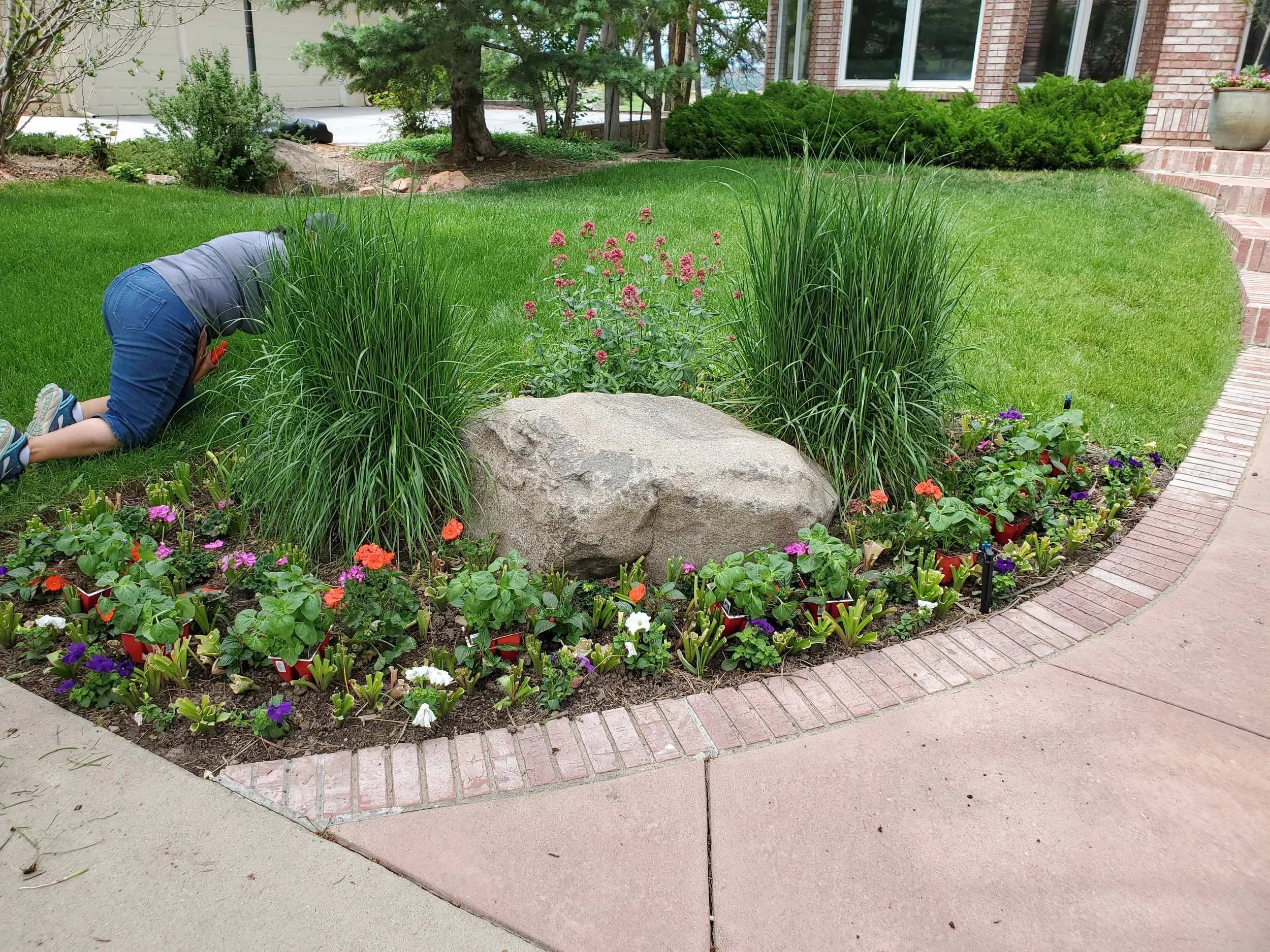 A person crouching and working in a flower bed with colorful flowers, green grass, and bushes near a house with brick stairs.