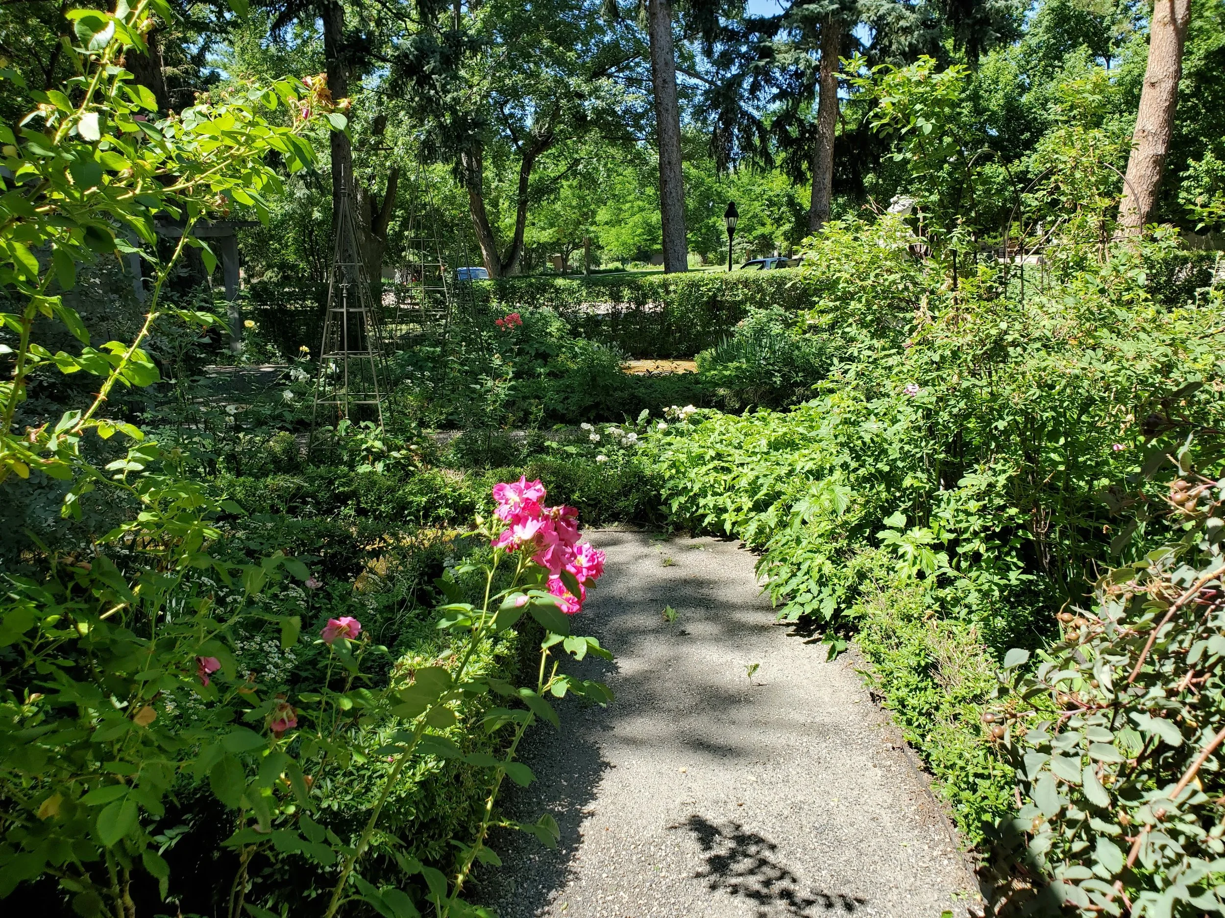 A lush garden pathway surrounded by green plants and flowers, with tall trees in the background and a sunny sky overhead.