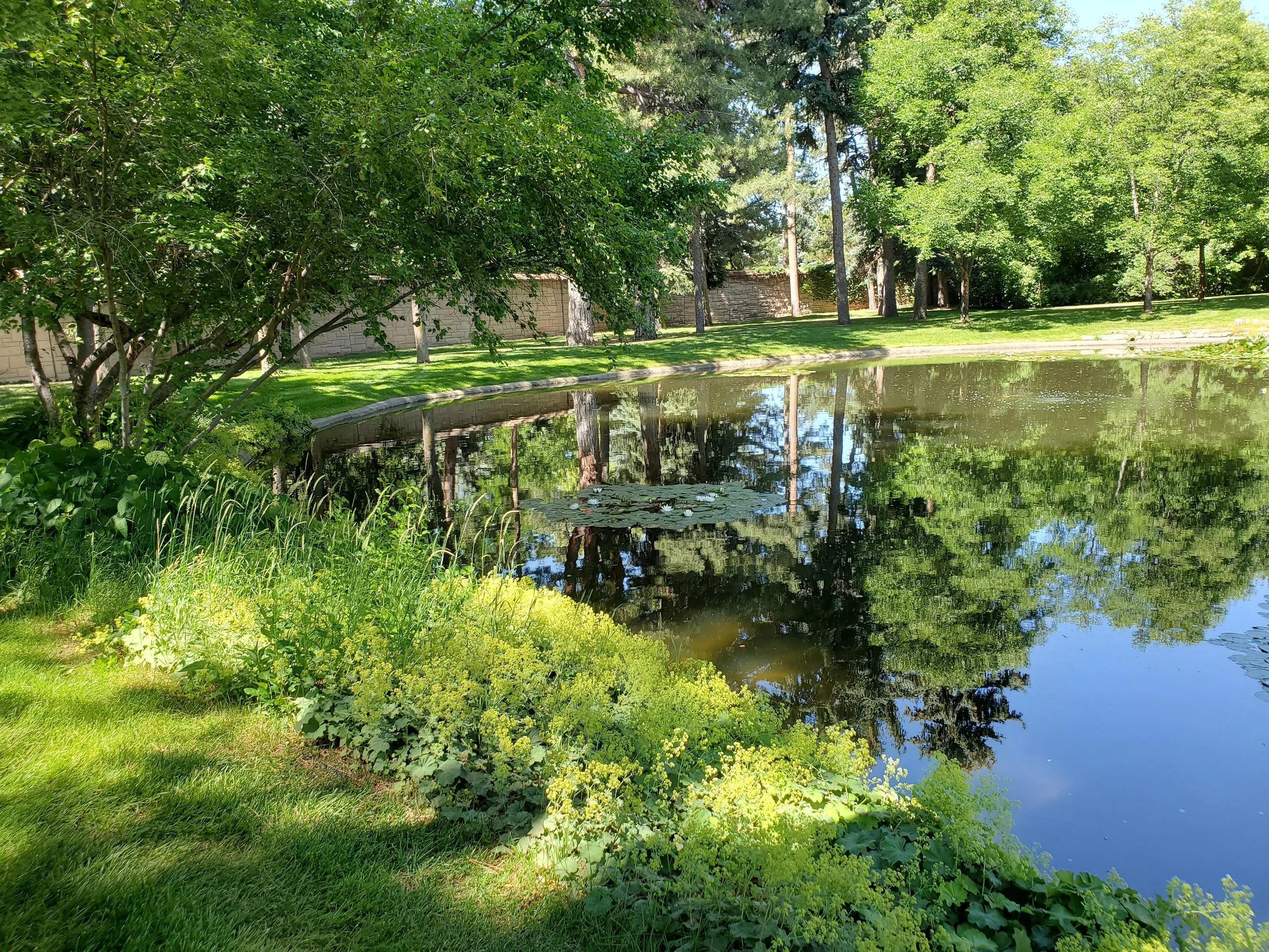 A peaceful scene of a small pond surrounded by lush green trees and grass, with the water reflecting the trees and sky.