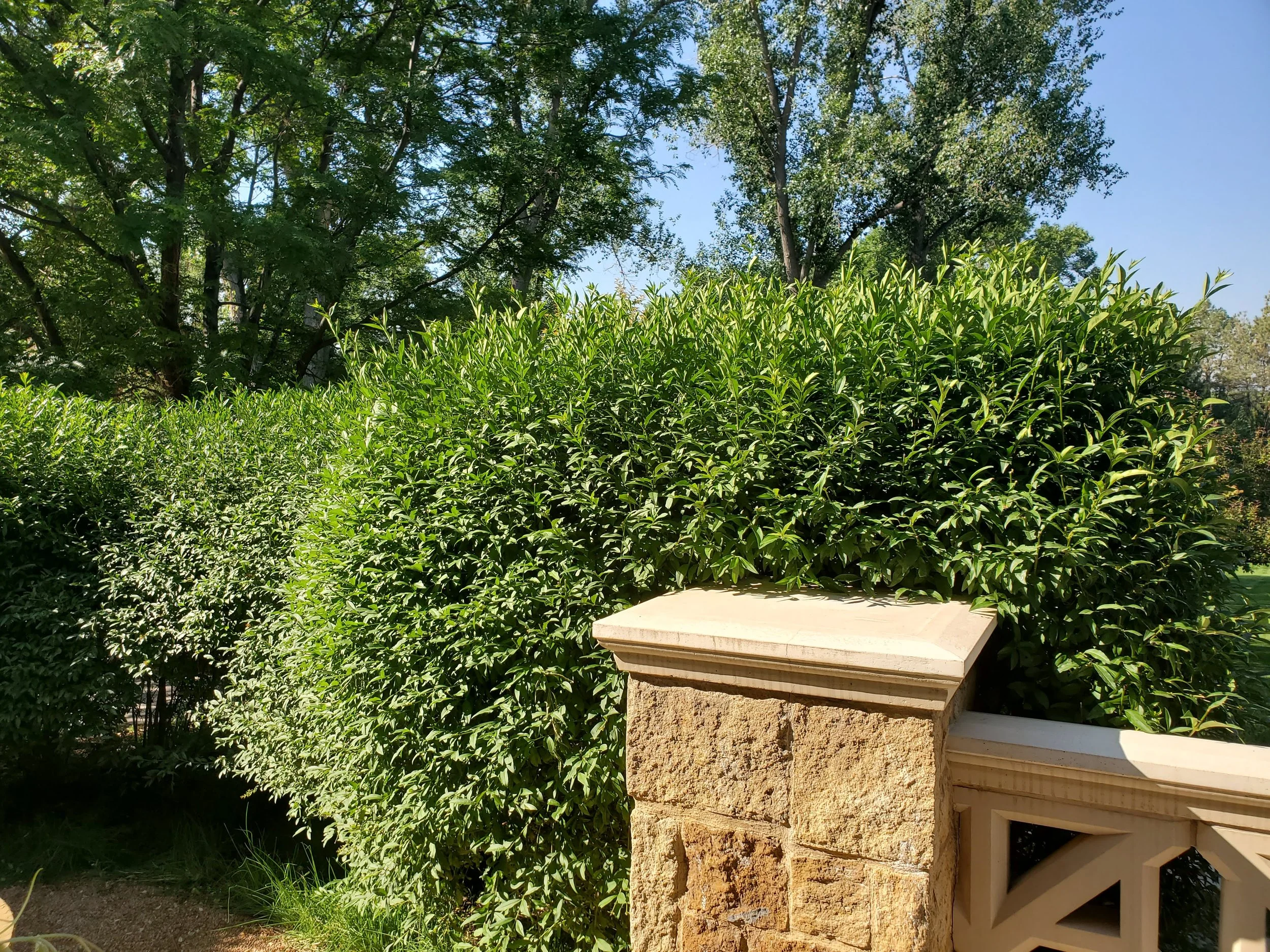Stone pillar and railing in front of lush green bushes and trees under a bright blue sky.