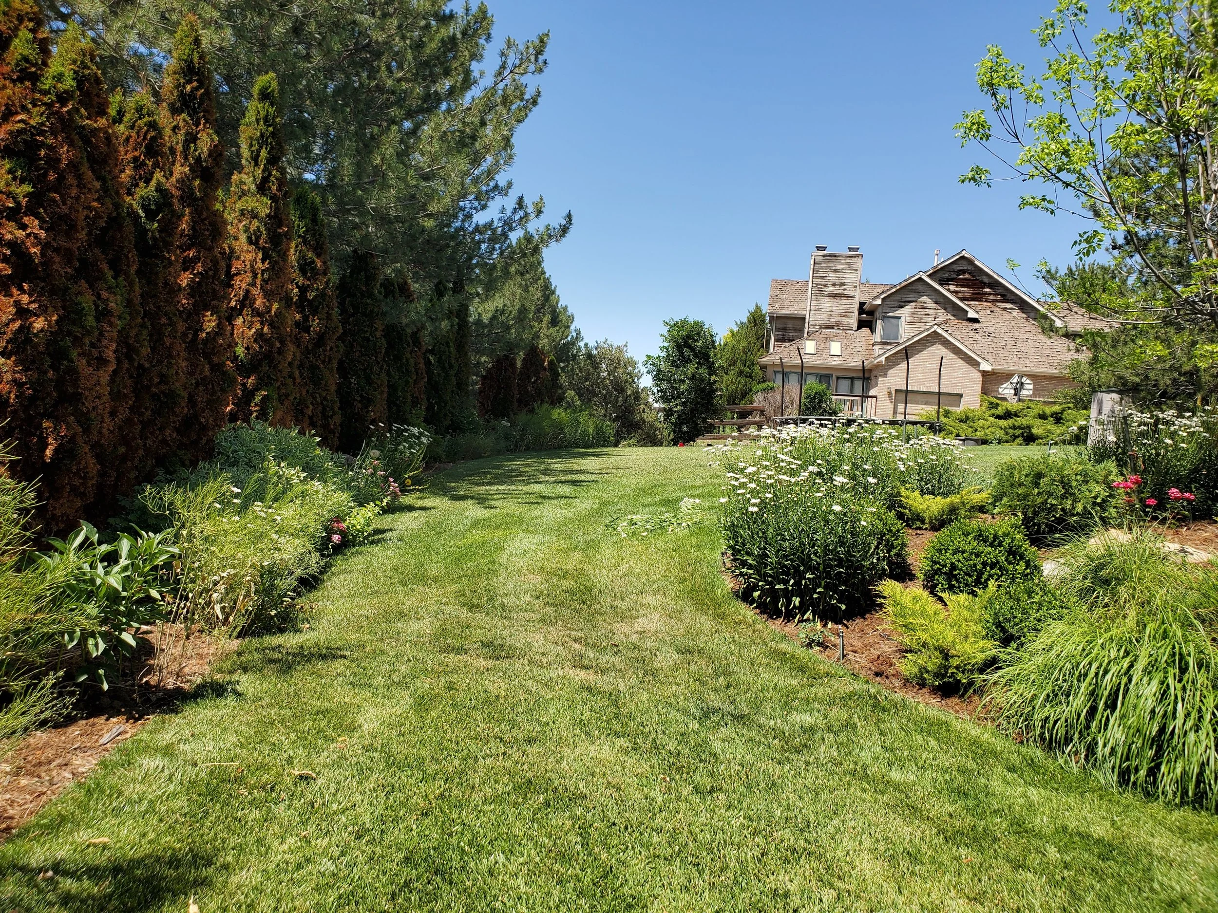 A well-maintained backyard with lush green grass, flower beds with various plants and flowers, tall trees on the left, and a large house in the background under a clear blue sky.