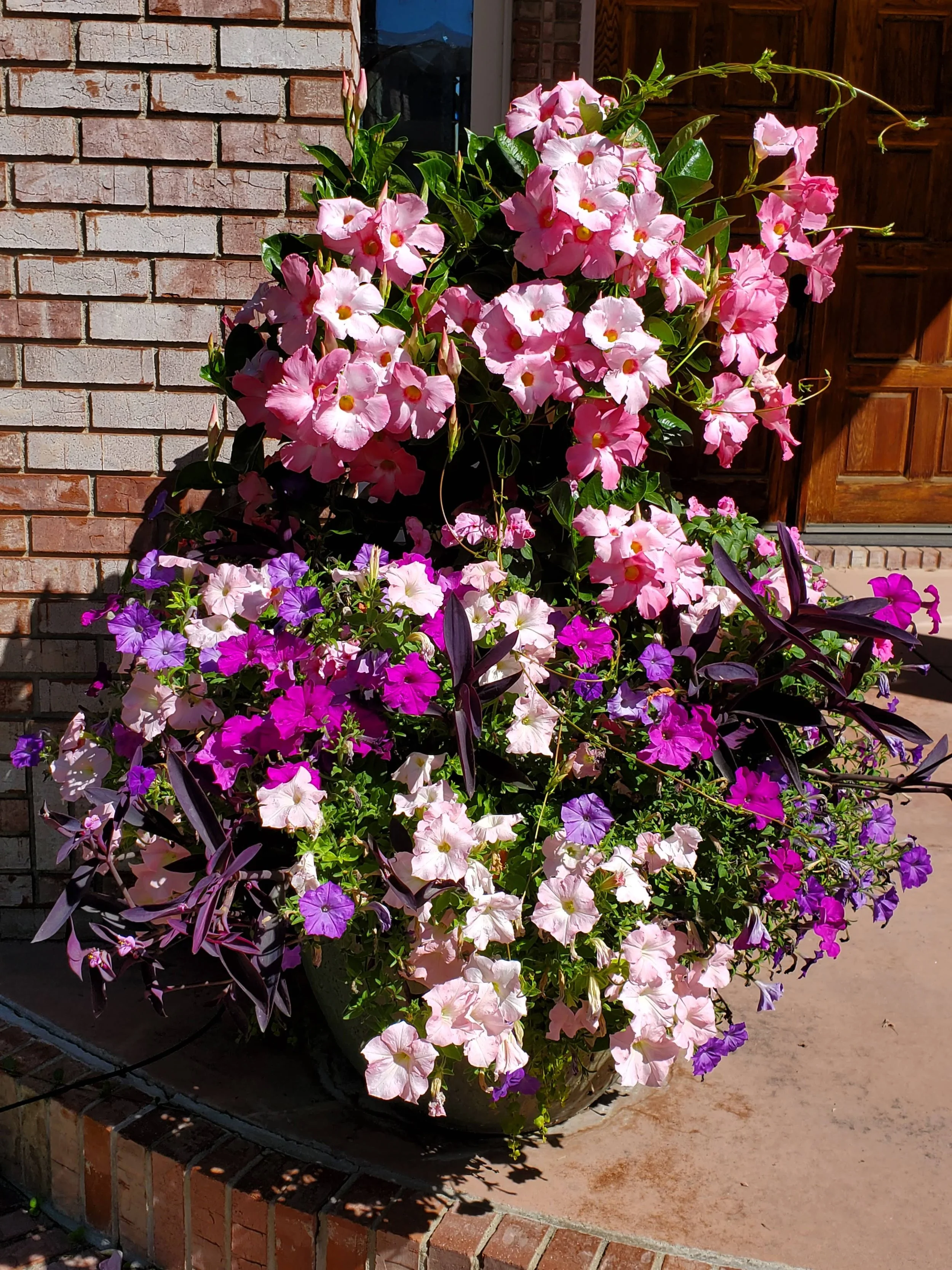 A large potted plant with pink, purple, and white flowers in front of a brick wall and a wooden door.