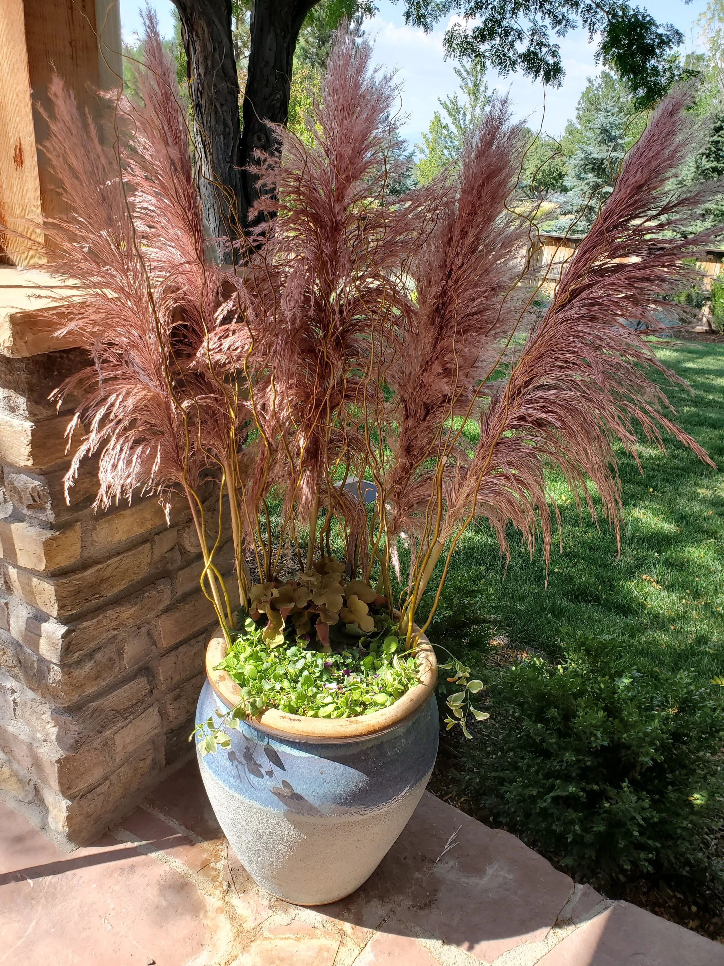 A large decorative planter with tall pink feather-like ornamental grasses and smaller green plants at the base, situated outdoors next to a brick wall and under a tree, with a lush green backyard in the background.