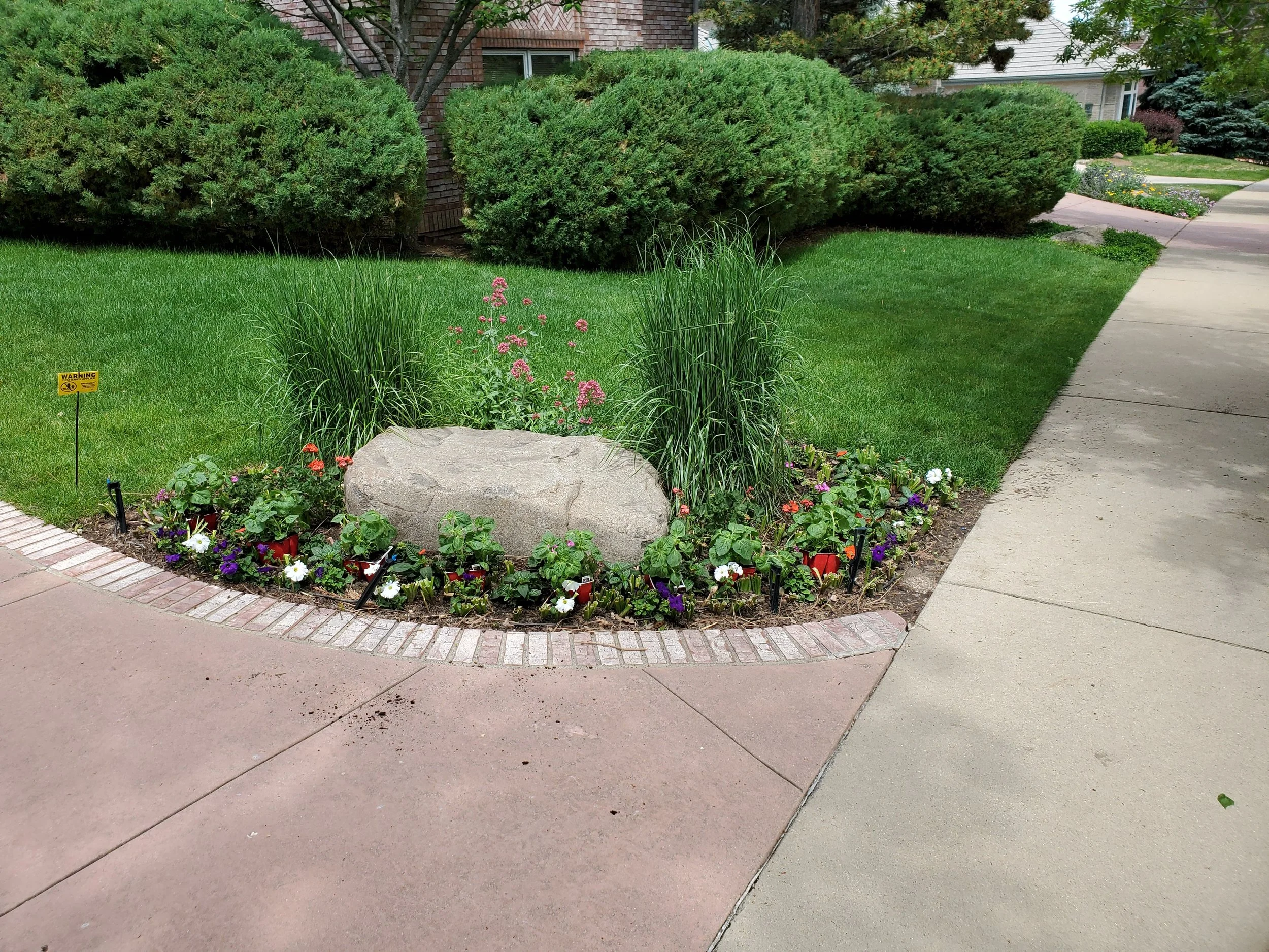 A landscaped garden bed with a large rock, colorful flowers, tall grasses, and greenery bordered by brick and concrete walkways in a suburban neighborhood.