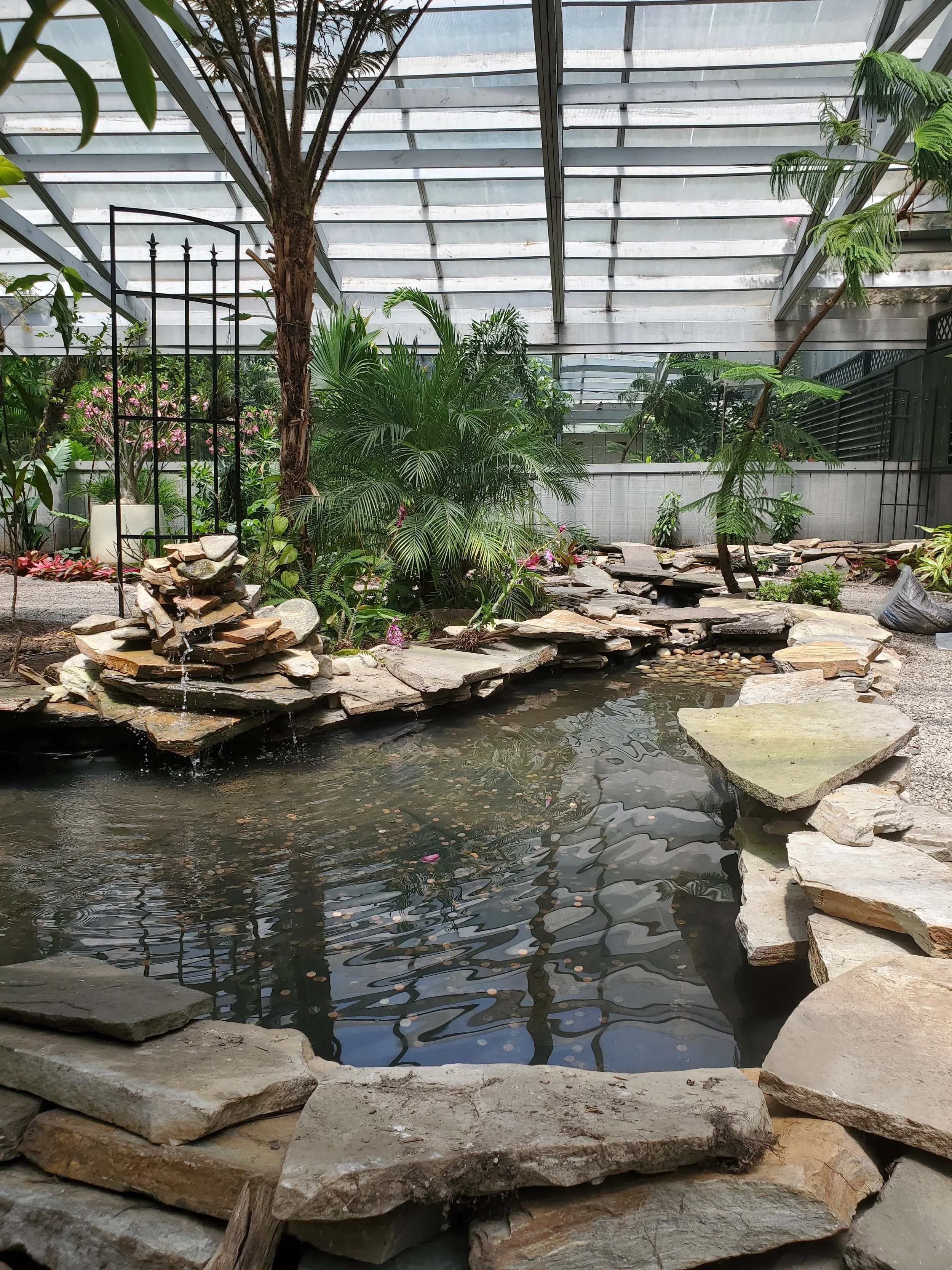 Indoor botanical garden with a pond, surrounded by rocks and lush green plants, under a glass ceiling.
