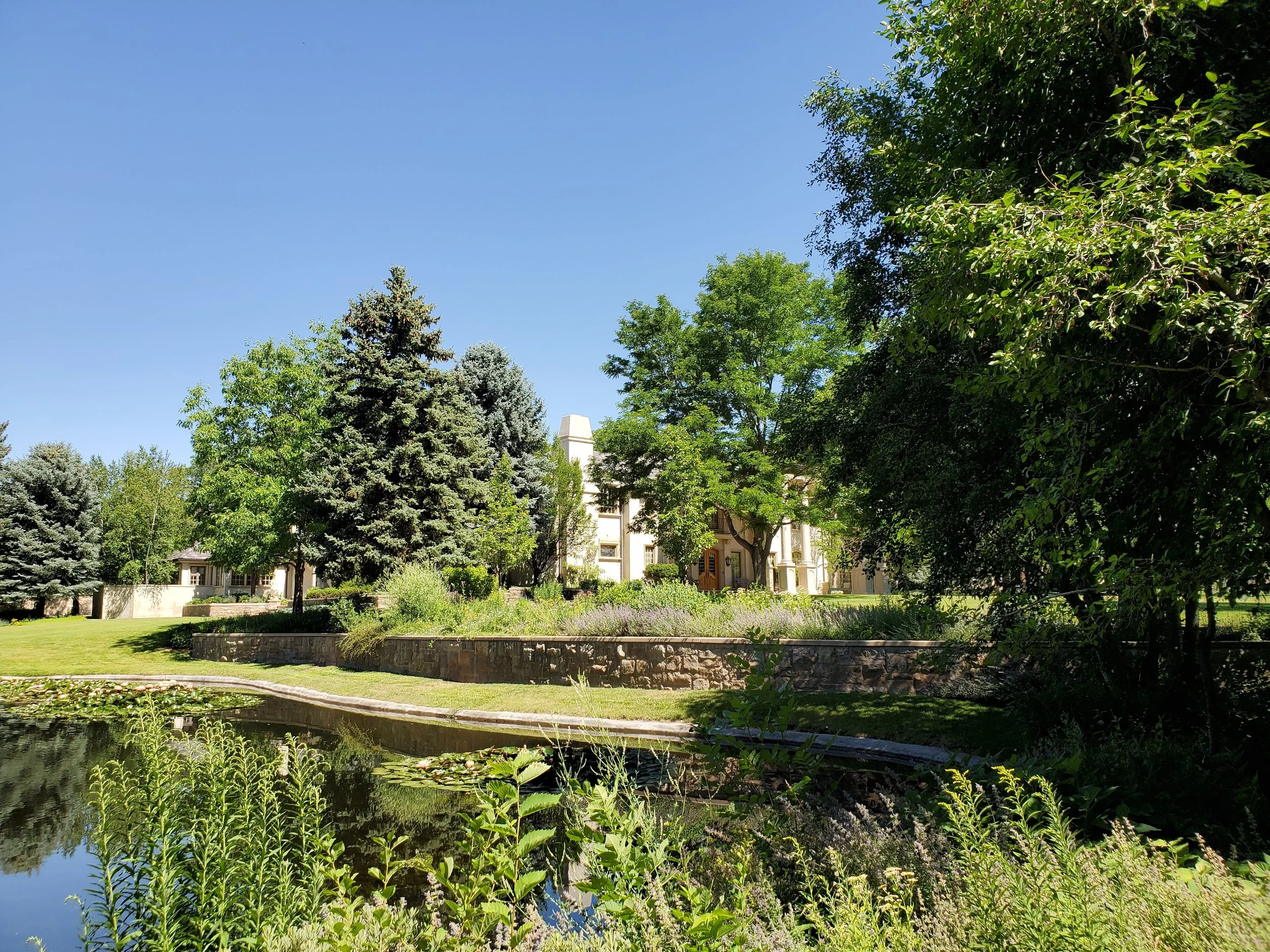 A serene park scene with a small pond, lush greenery, tall trees, and a white building in the background under a clear blue sky.
