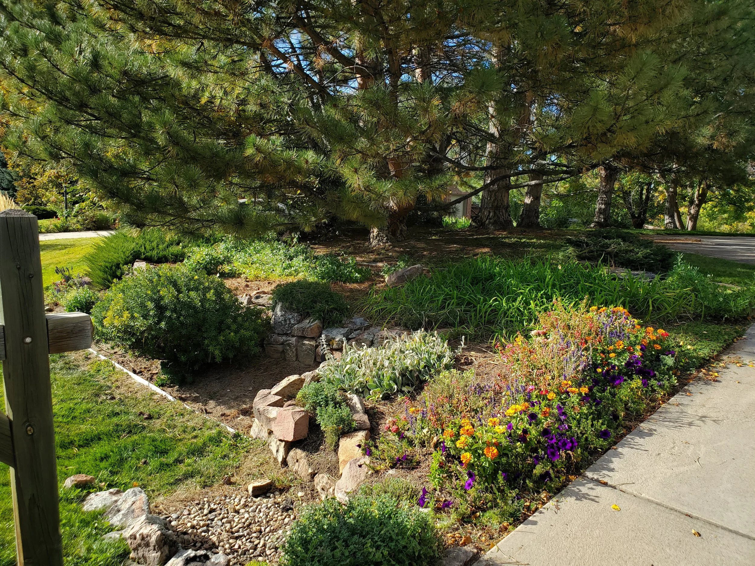 A landscaped garden with various green plants, colorful flowers, and large trees along a sidewalk.