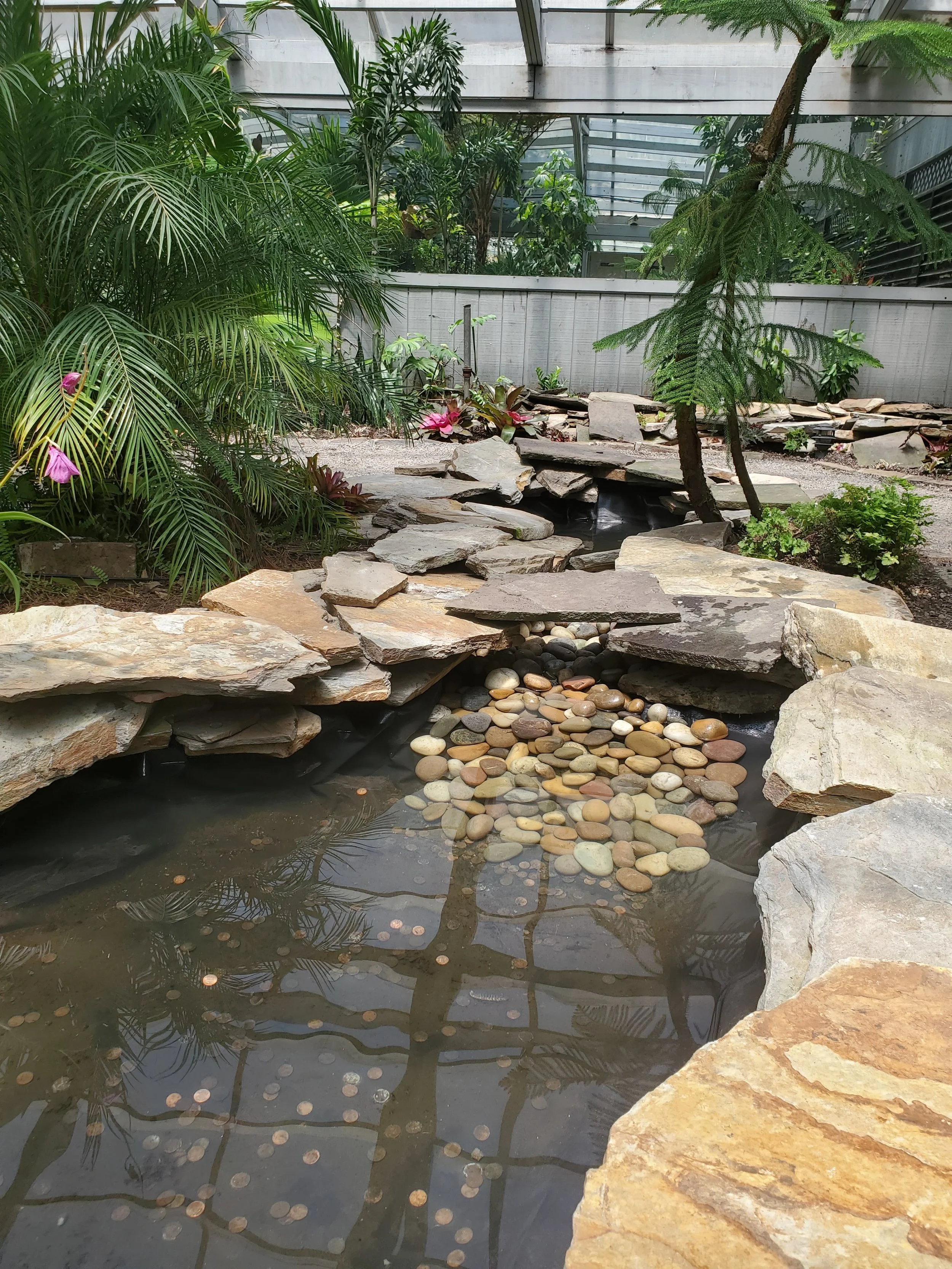 Indoor garden with a small pond filled with rocks and pebbles, surrounded by lush green plants and trees, under a glass roof.