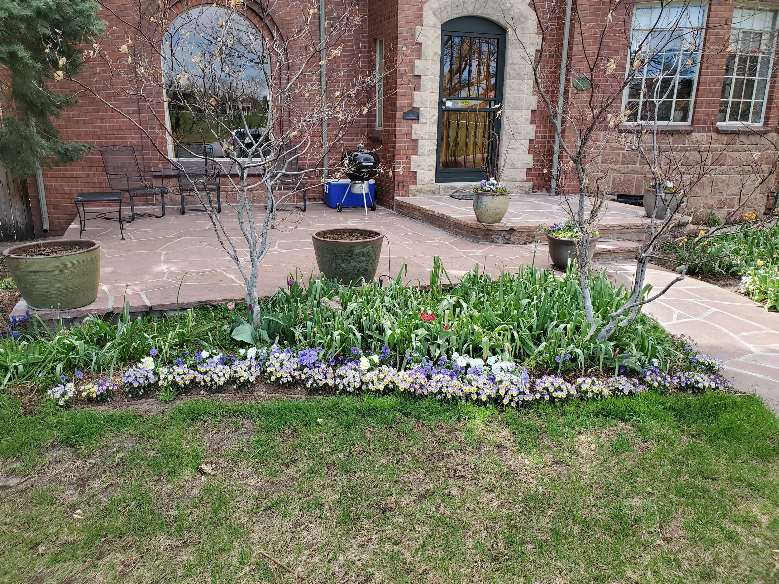 A brick house with a patio, potted plants, and leafless trees surrounded by blooming flowers and green grass.