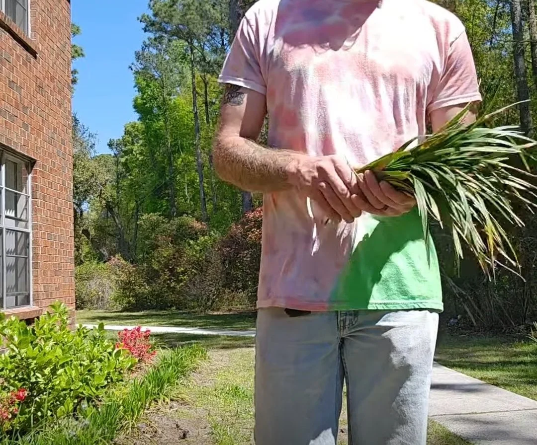 Landscape Maintenance