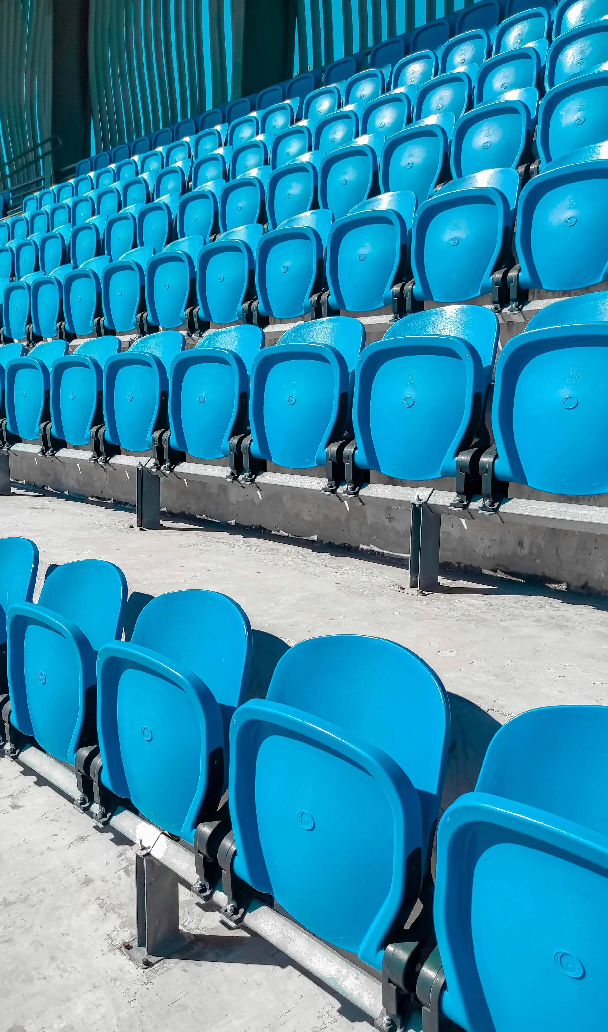 PILLAR 4: Sports Division