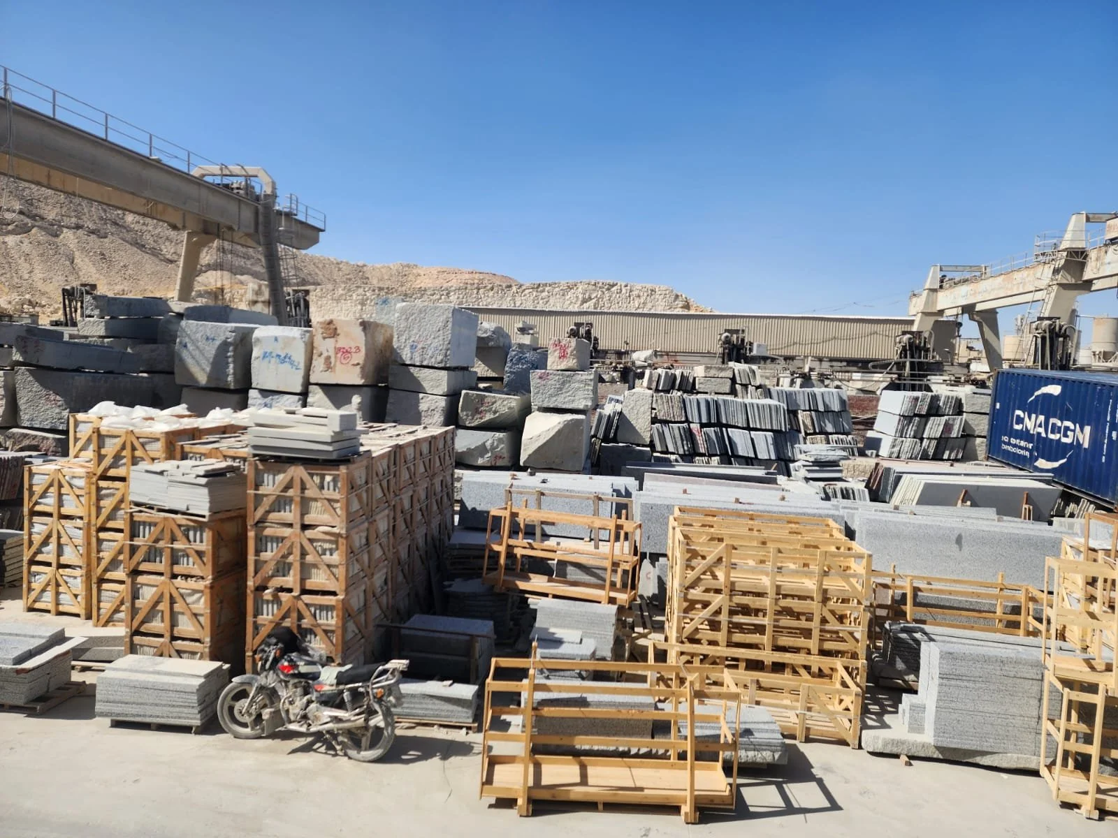 WhatsApp Image 2026-02-18 at 11.55.20 AM.jpeg