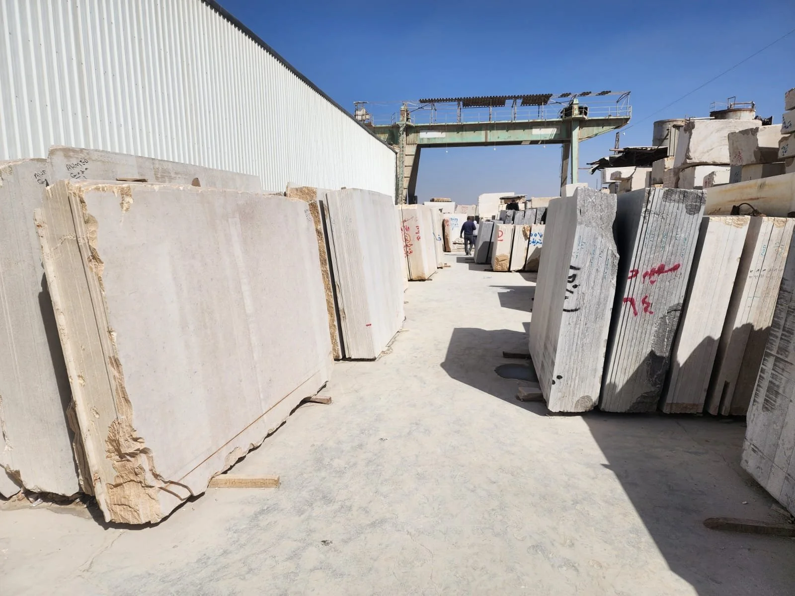 WhatsApp Image 2026-02-18 at 11.55.24 AM.jpeg