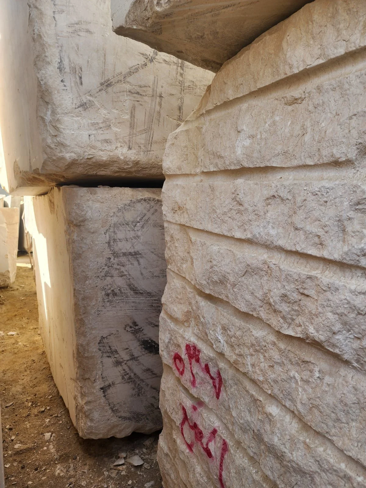 WhatsApp Image 2026-02-18 at 11.55.25 AM (3).jpeg