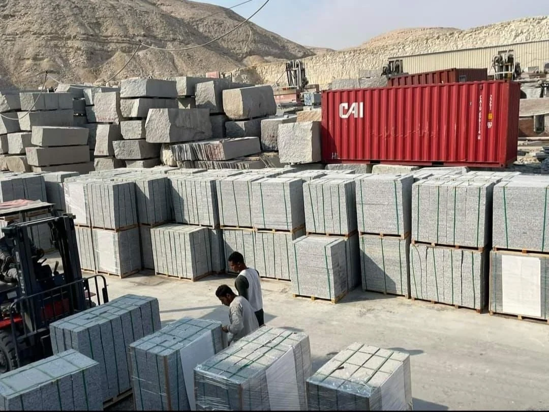 WhatsApp Image 2026-02-15 at 11.45.56 AM.jpeg