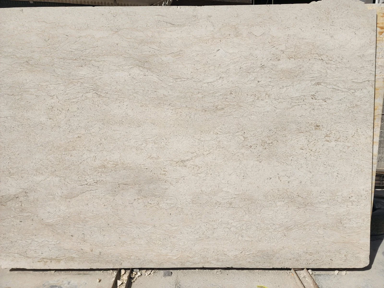 WhatsApp Image 2026-02-18 at 11.55.26 AM.jpeg