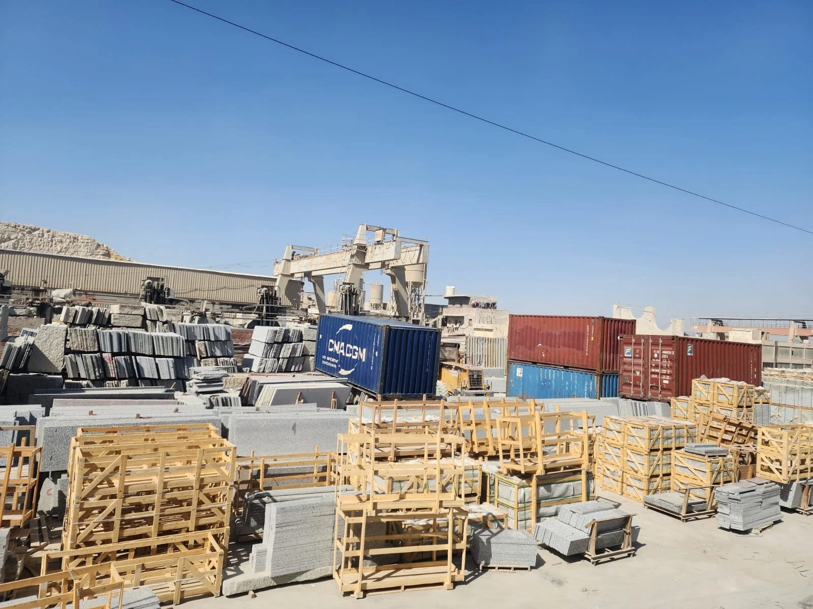 WhatsApp Image 2026-02-18 at 11.55.19 AM.jpeg